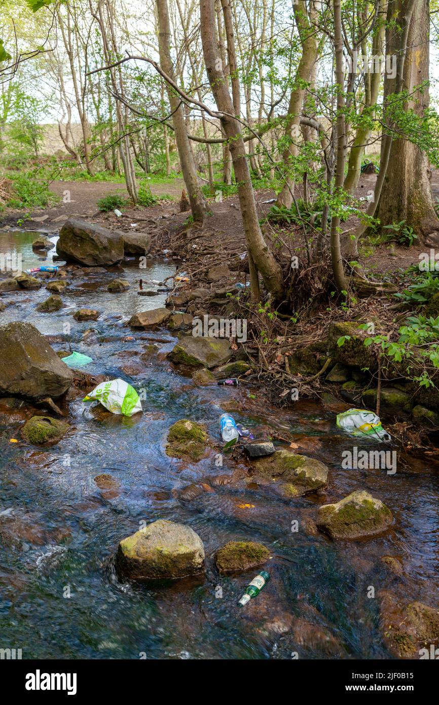 La basura en un río pequeño en un bosque en Escocia Foto de stock