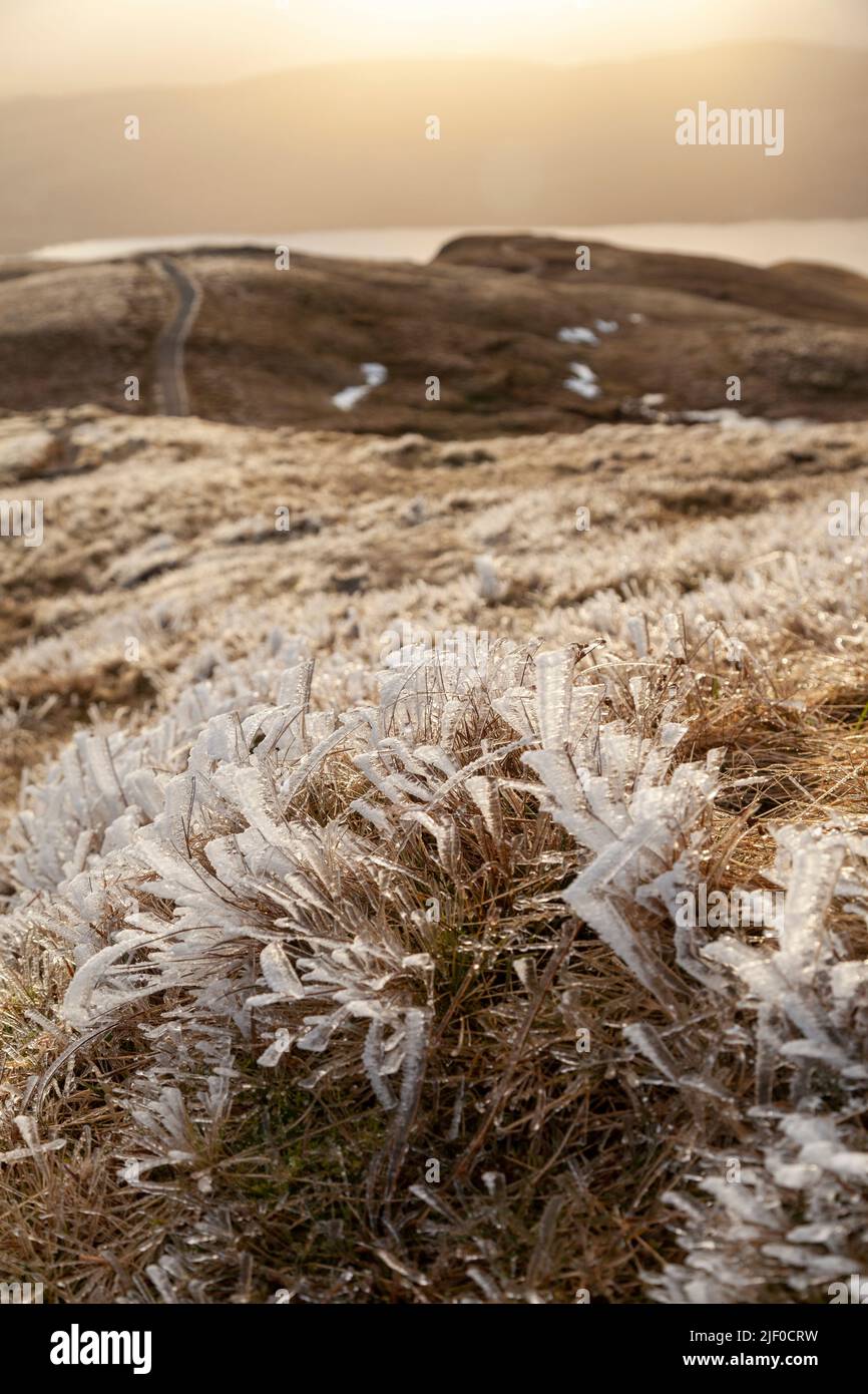 Hierba helada en Ben Ledi con Loch Venachar al fondo. Foto de stock