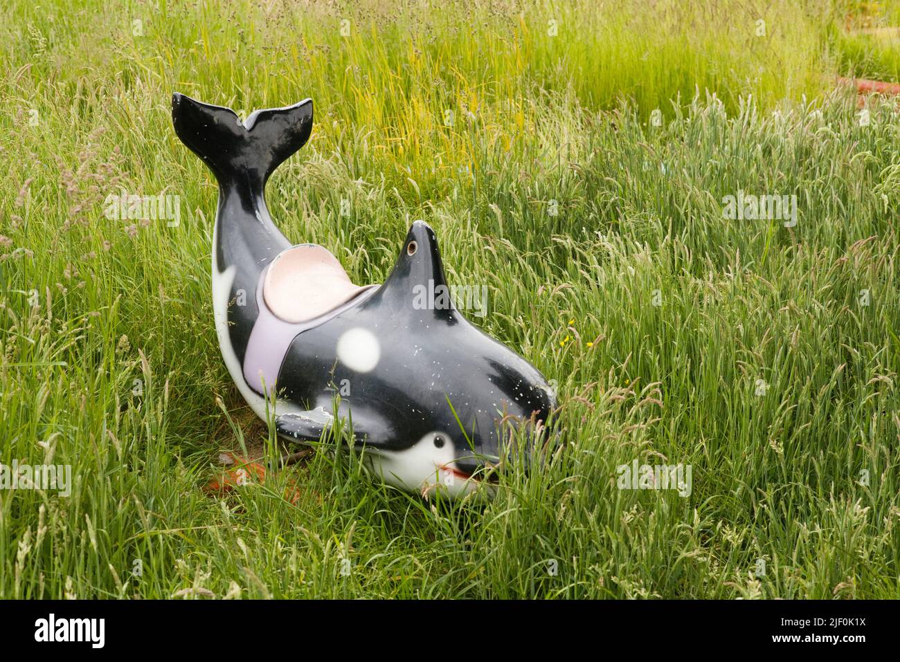 Un delfín de parque infantil roto se encuentra abandonado en las malas hierbas en una zona de golf descabellada Foto de stock