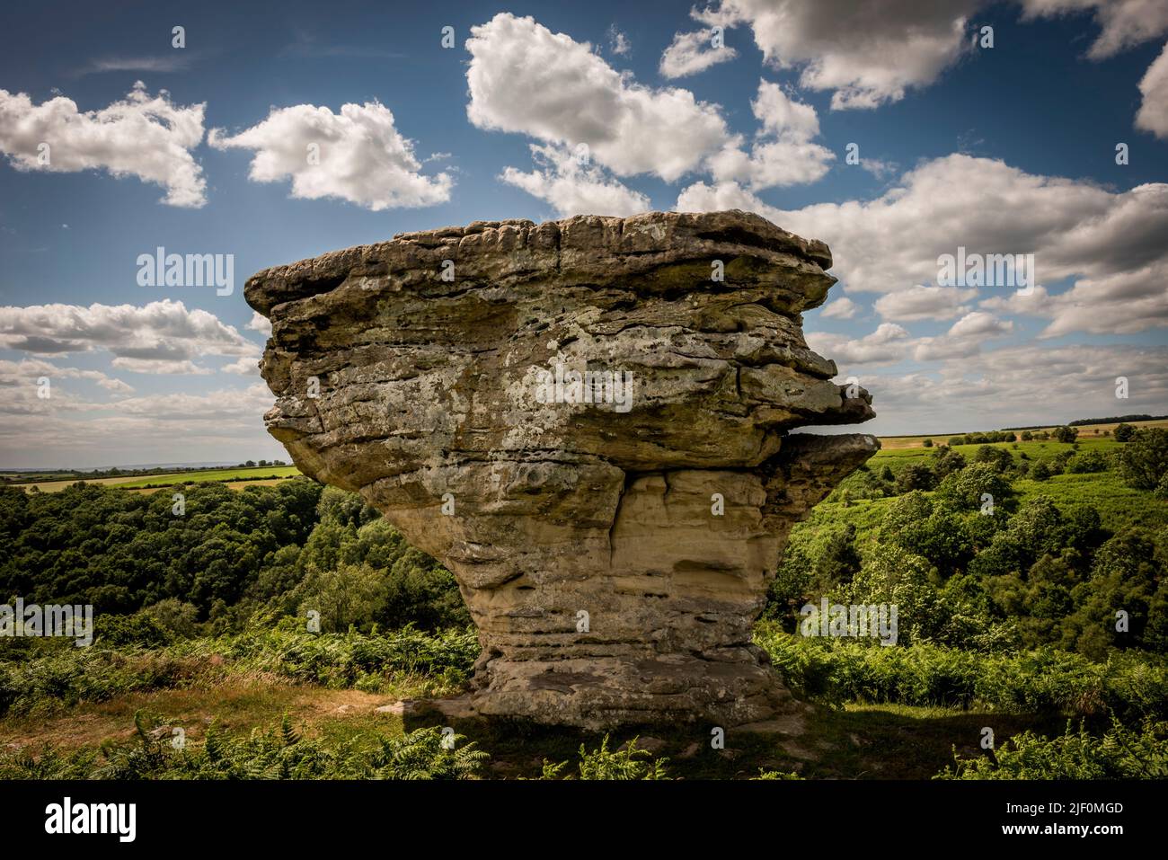 Las formaciones rocosas naturales de Bridestos creadas por la erosión en el bosque de Dalby, North Yorkshire, Reino Unido Foto de stock