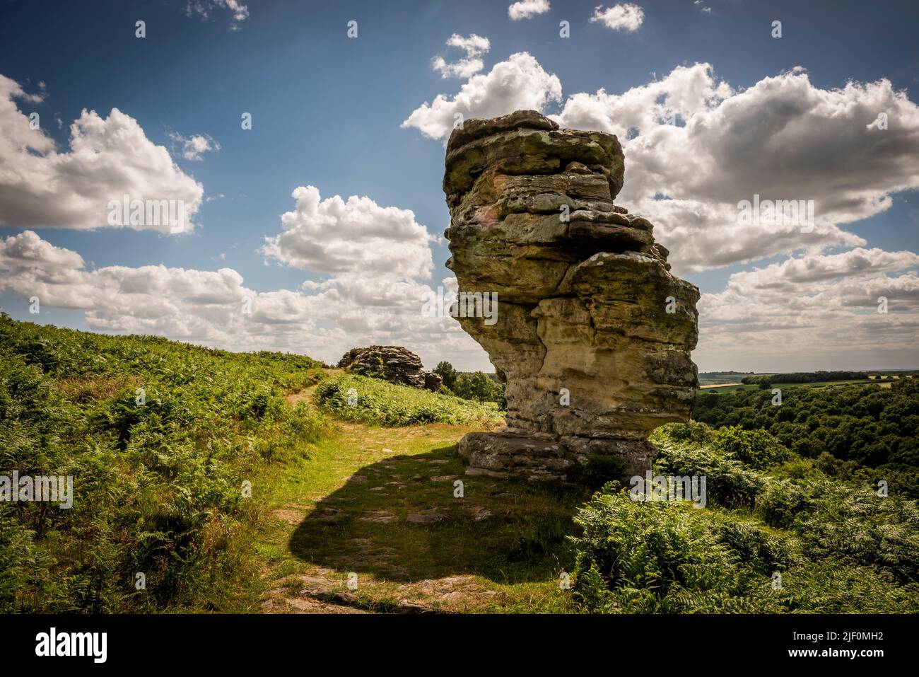 Las formaciones rocosas naturales de Bridestos creadas por la erosión en el bosque de Dalby, North Yorkshire, Reino Unido Foto de stock