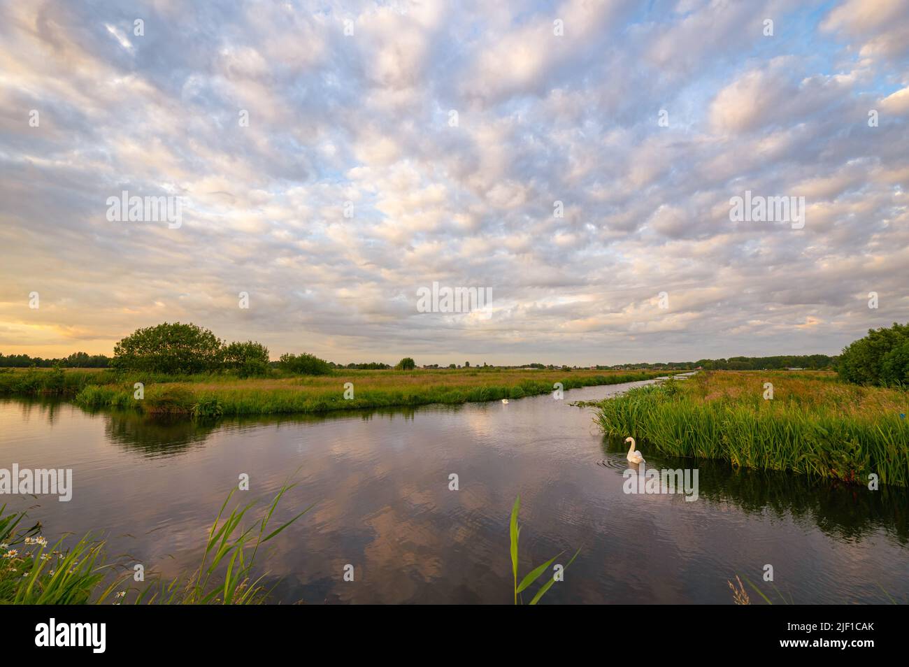 Tranquilo escenario de suaves nubes sobre aguas tranquilas en el paisaje de pólder holandés en la hora dorada antes del atardecer Foto de stock