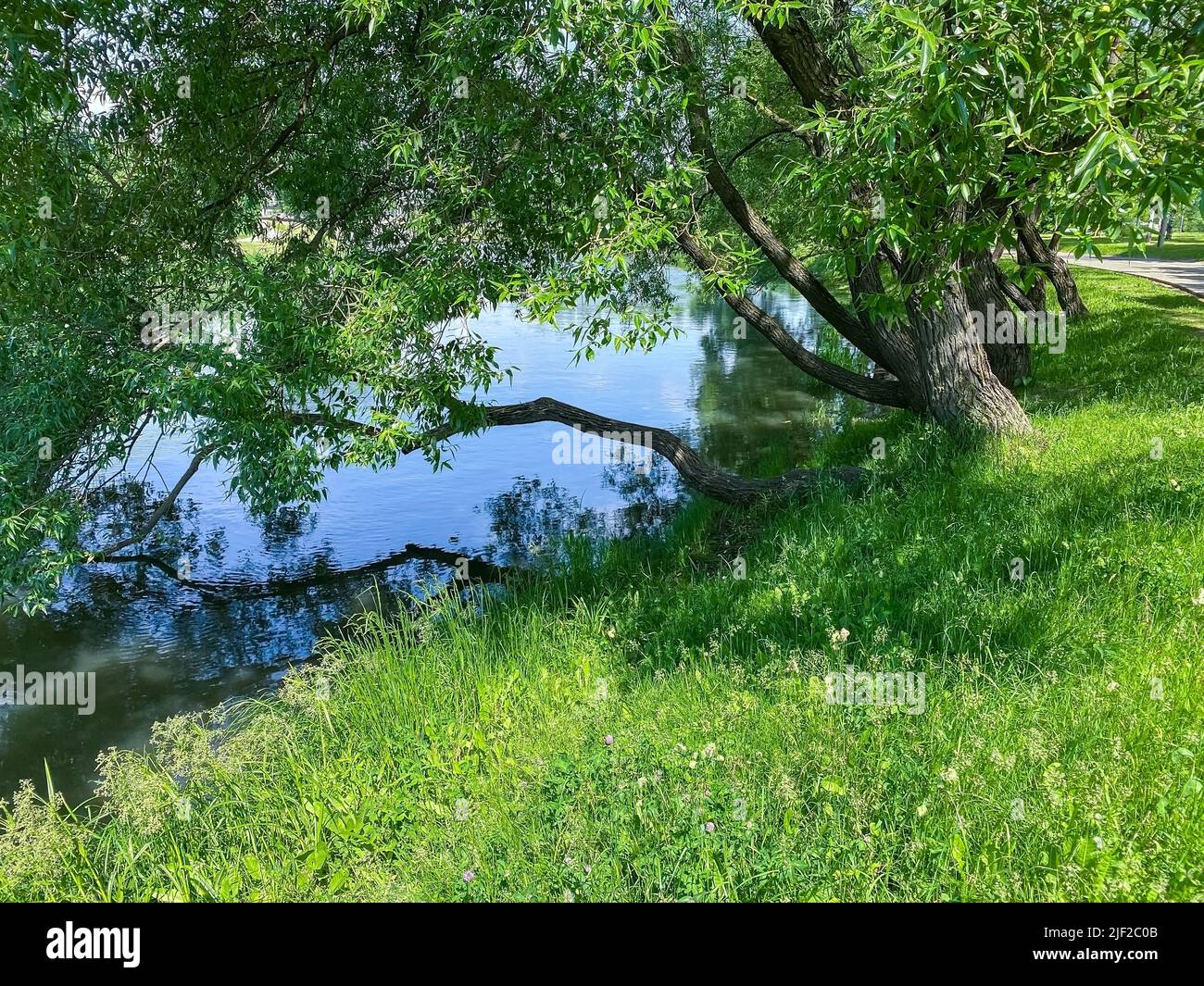 pintoresca orilla del río. cálido y soleado día de verano. Foto de stock