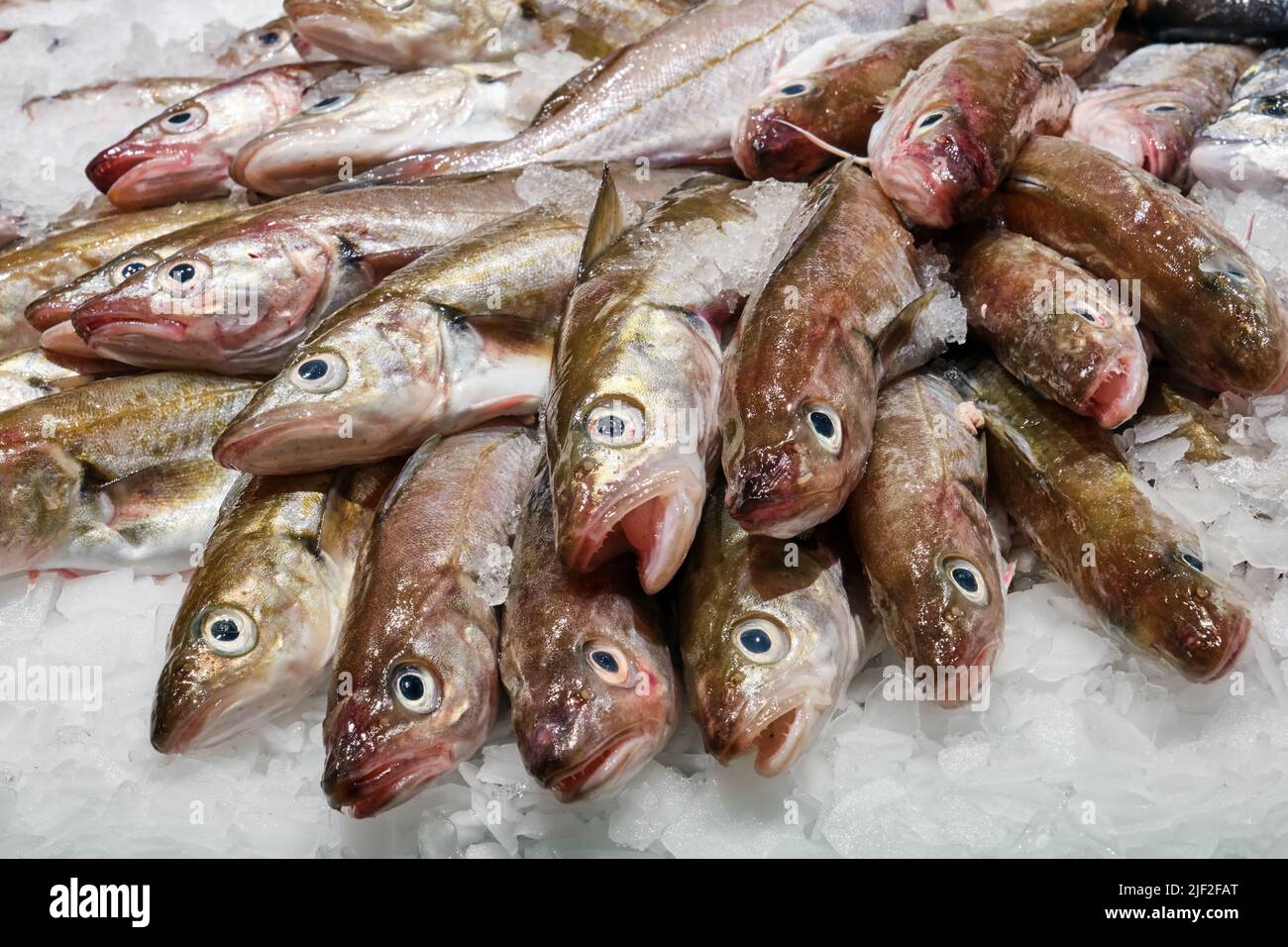 Pescado fresco sobre hielo a la venta en un mercado en España Foto de stock