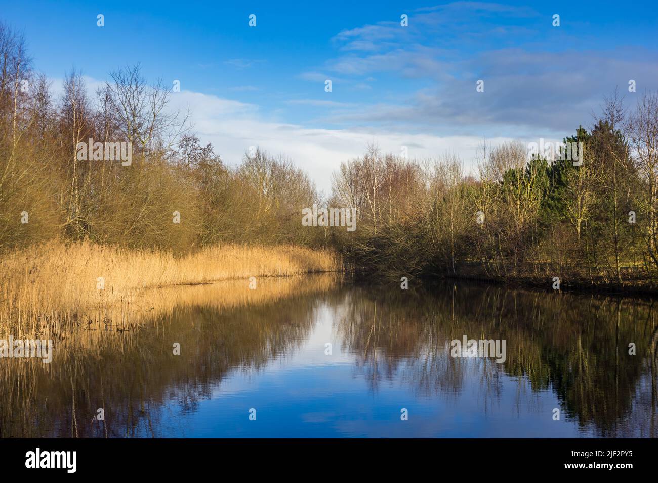 Pequeño lago en la zona de Schildmeer en Groningen, países Bajos Foto de stock