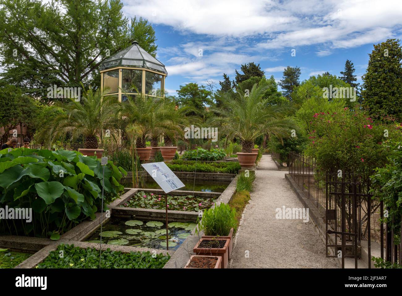 Padua, Italia - 06 10 2022: Jardín Botánico de la Universidad de Padua en Padua en un día de verano. Foto de stock