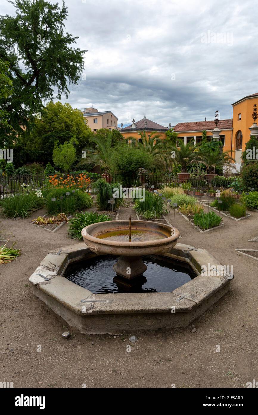 Padua, Italia - 06 10 2022: Jardín Botánico de la Universidad de Padua en Padua en un día de verano. Foto de stock