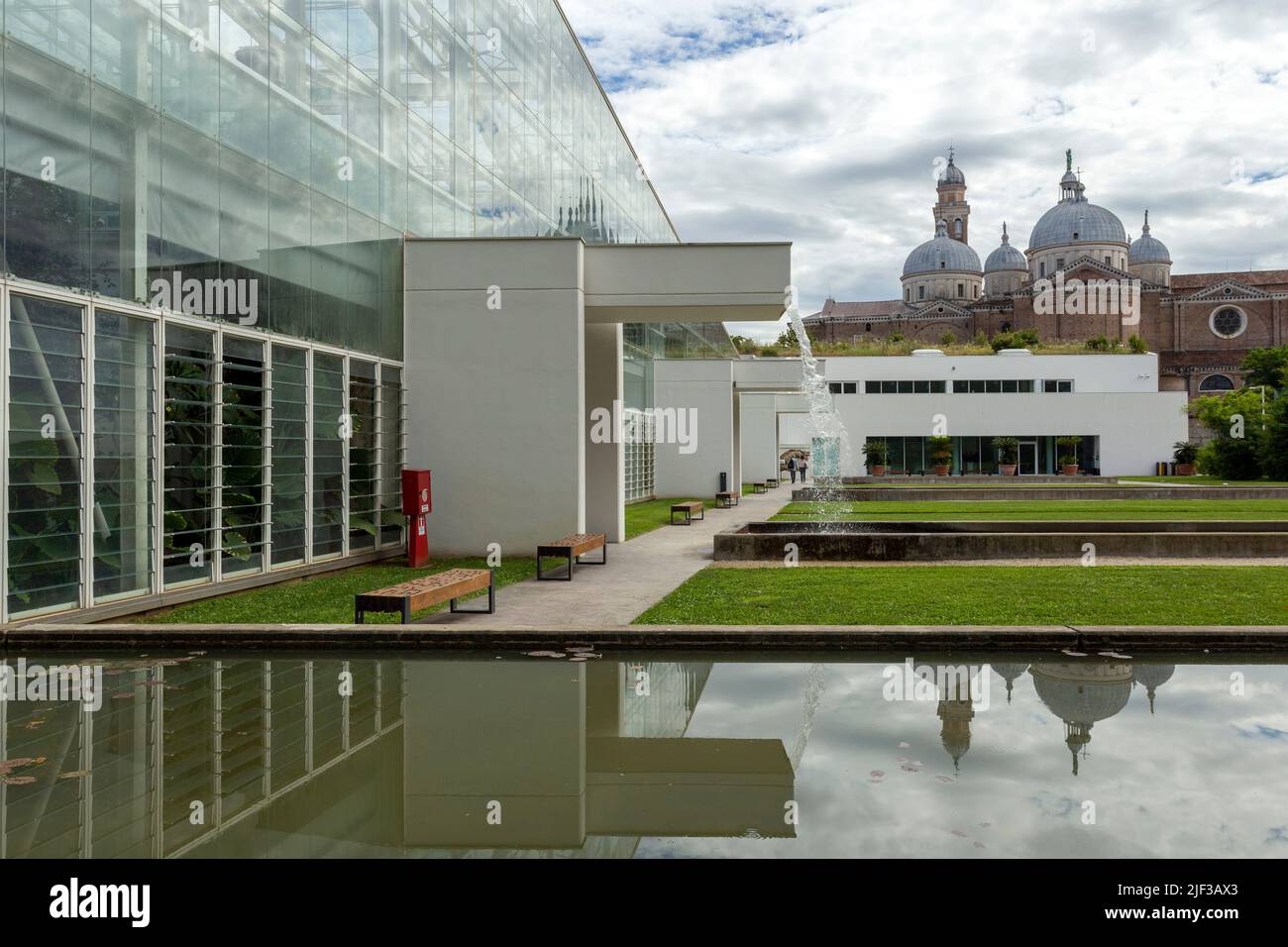 Padua, Italia - 06 10 2022: El Jardín de la Biodiversidad en el Jardín Botánico de Padua en un día de verano. Foto de stock