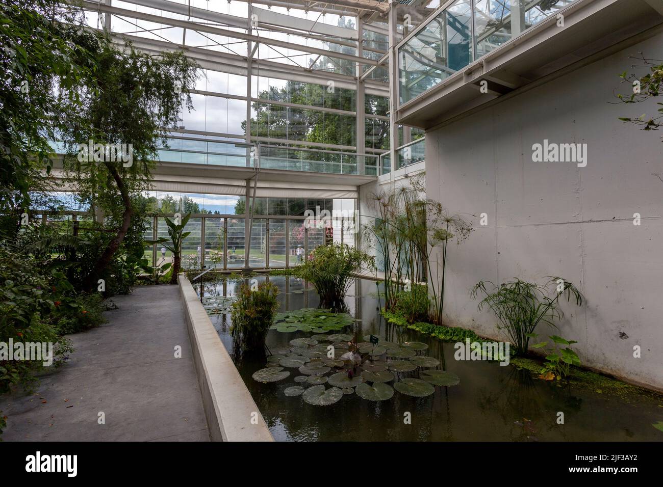 Padua, Italia - 06 10 2022: El Jardín de la Biodiversidad en el Jardín Botánico de Padua en un día de verano. Foto de stock