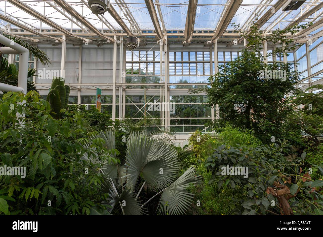 Padua, Italia - 06 10 2022: El Jardín de la Biodiversidad en el Jardín Botánico de Padua en un día de verano. Foto de stock