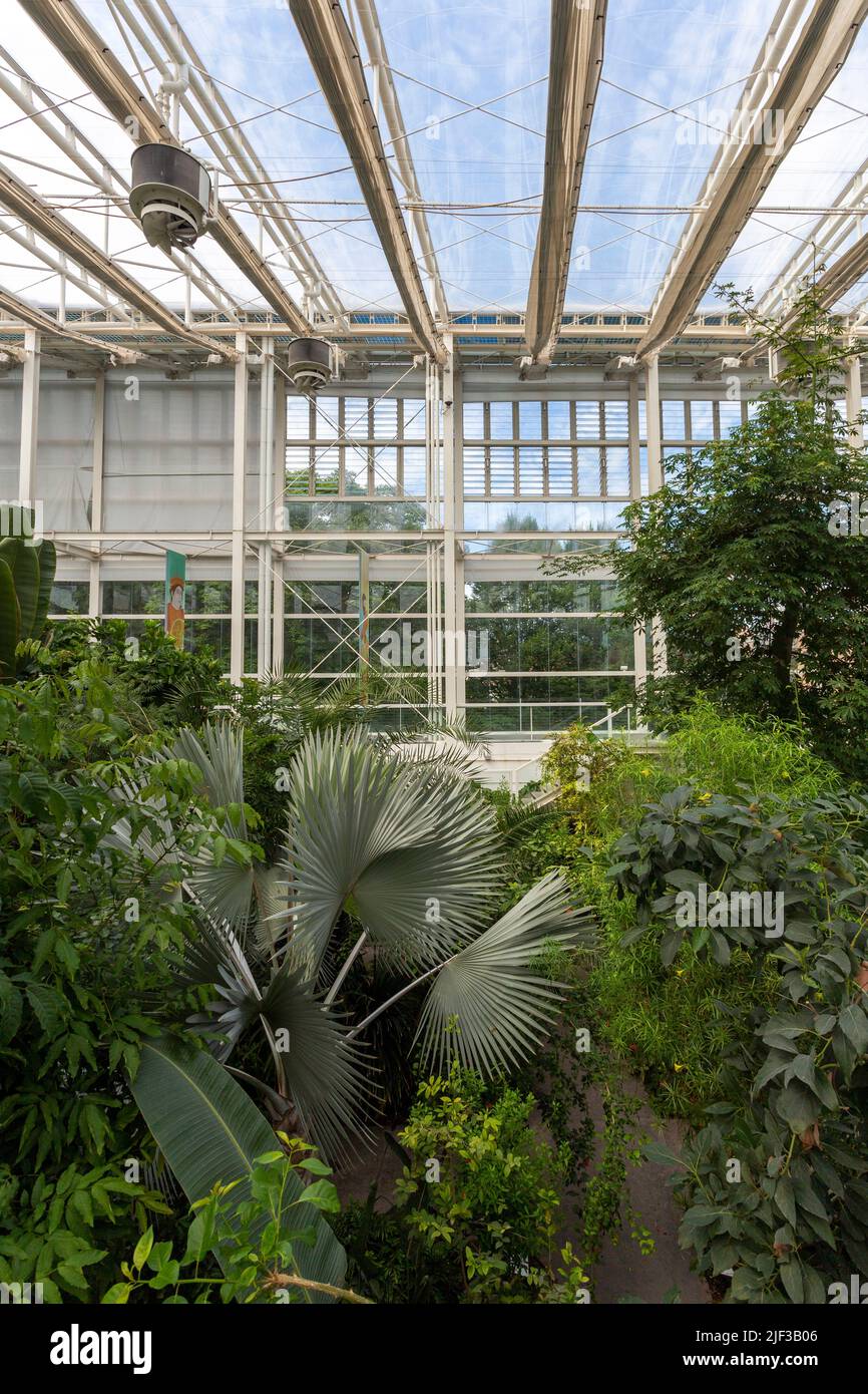 Padua, Italia - 06 10 2022: El Jardín de la Biodiversidad en el Jardín Botánico de Padua en un día de verano. Foto de stock