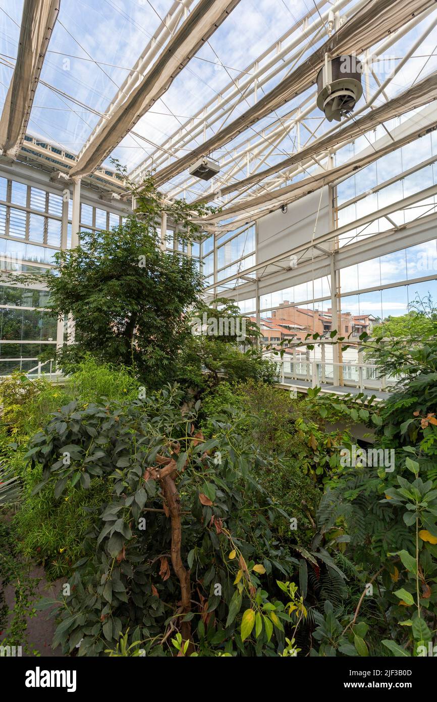 Padua, Italia - 06 10 2022: El Jardín de la Biodiversidad en el Jardín Botánico de Padua en un día de verano. Foto de stock