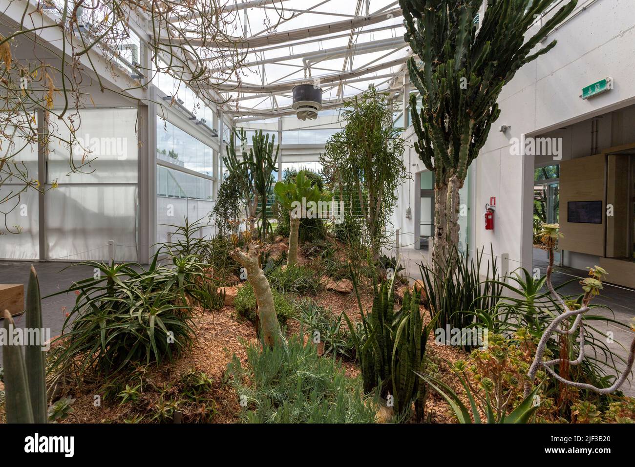 Padua, Italia - 06 10 2022: El Jardín de la Biodiversidad en el Jardín Botánico de Padua en un día de verano. Foto de stock