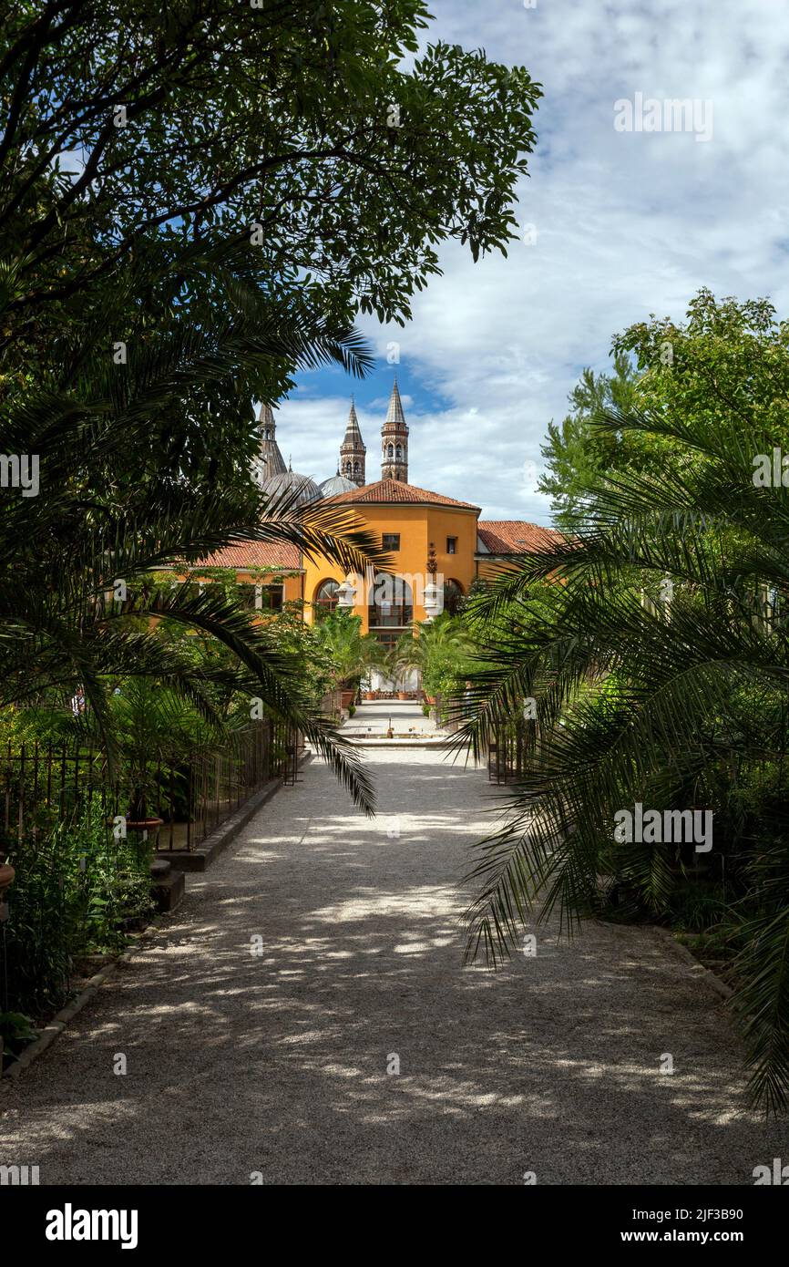 Padua, Italia - 06 10 2022: Jardín Botánico de la Universidad de Padua en Padua en un día de verano. Foto de stock