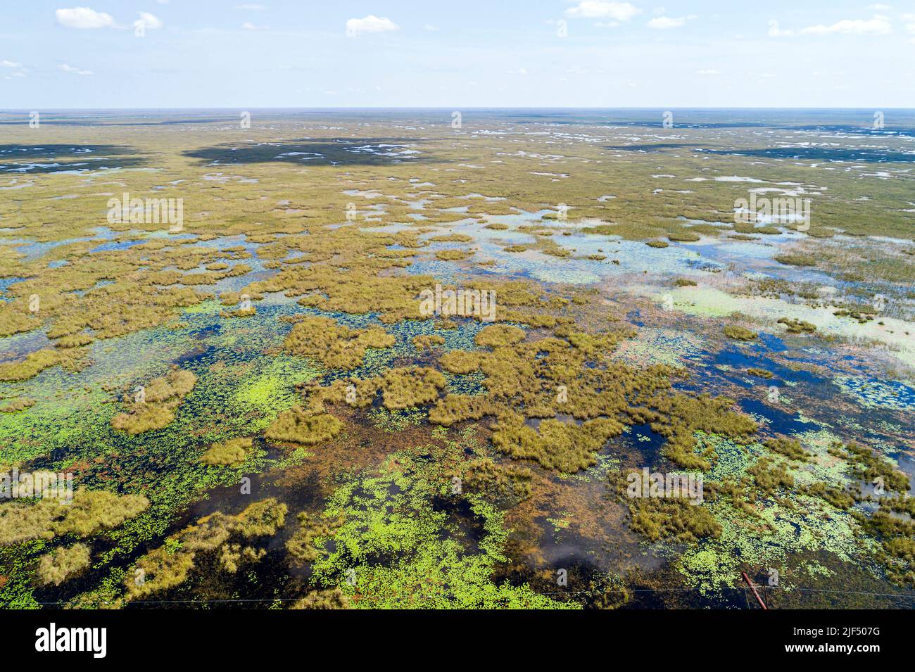 Fort Ft. Lauderdale Weston Florida Everglades,Holey Land Francis S. Taylor Área de Gestión de Vida Silvestre WMA inundado marisma de pasto sawgrass temporada de lluvias, ové aéreo Foto de stock