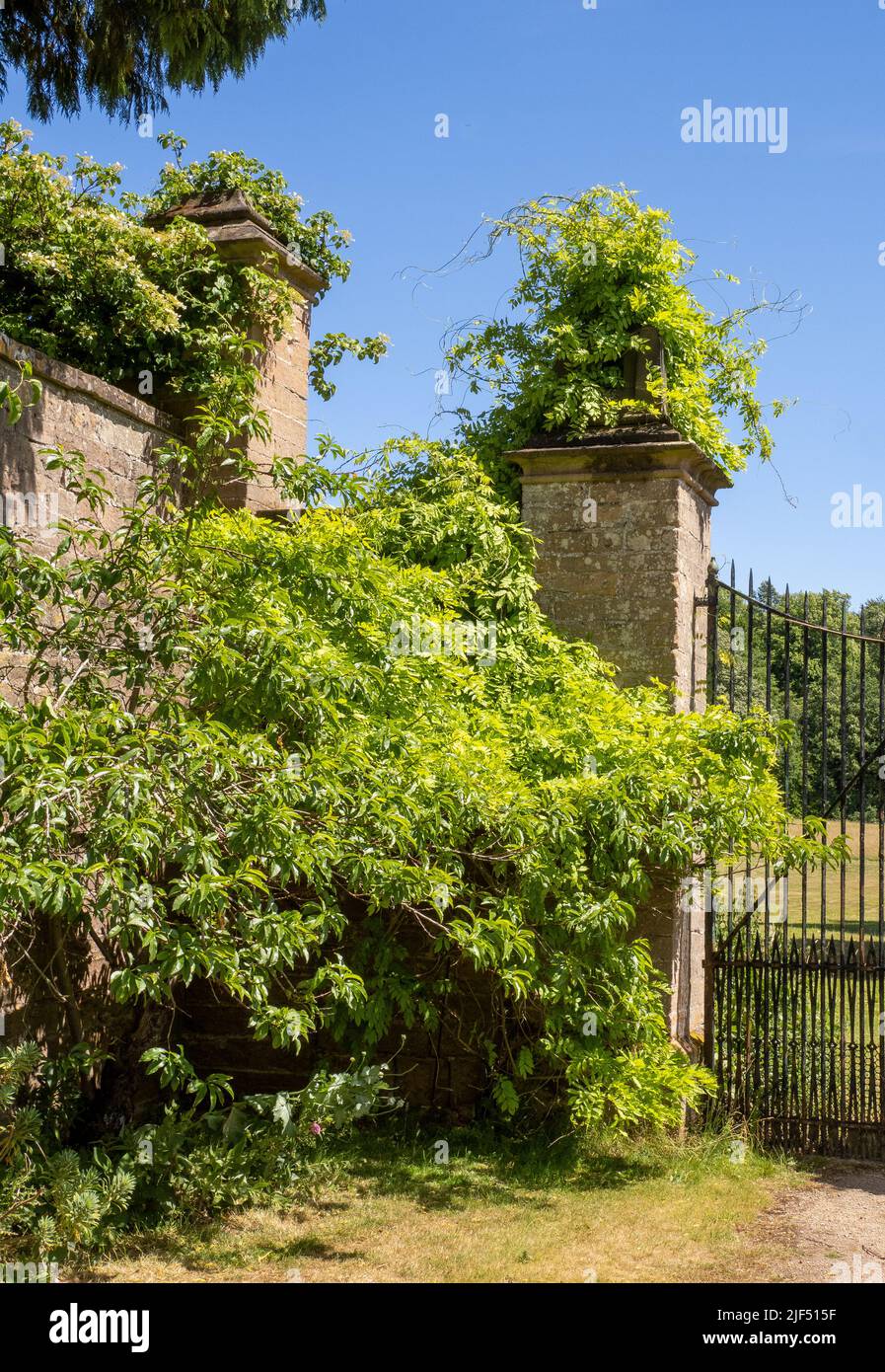 El jardín amurallado en Newstead Abbey en Nottinghamshire Reino Unido hogar ancestral de Lord Byron Foto de stock