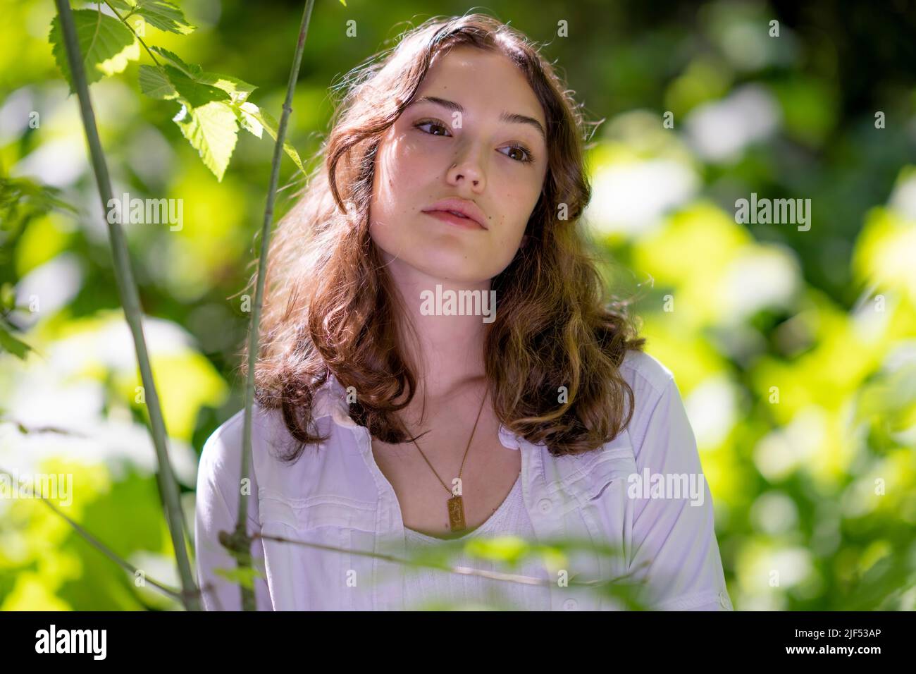 Retrato de la joven en el bosque de Redwood Foto de stock
