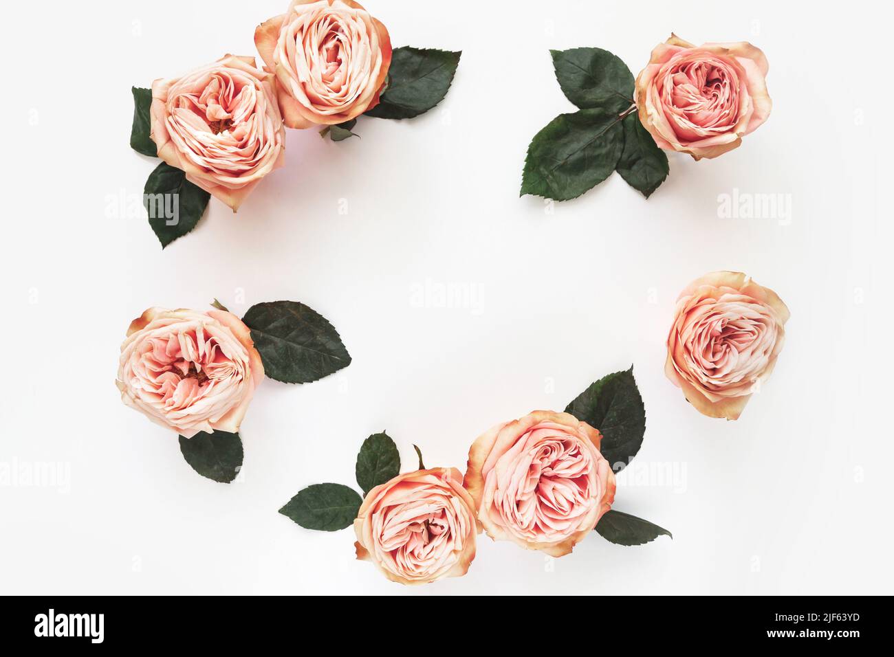 Decoracion de rosas fotografías e imágenes de alta resolución - Alamy