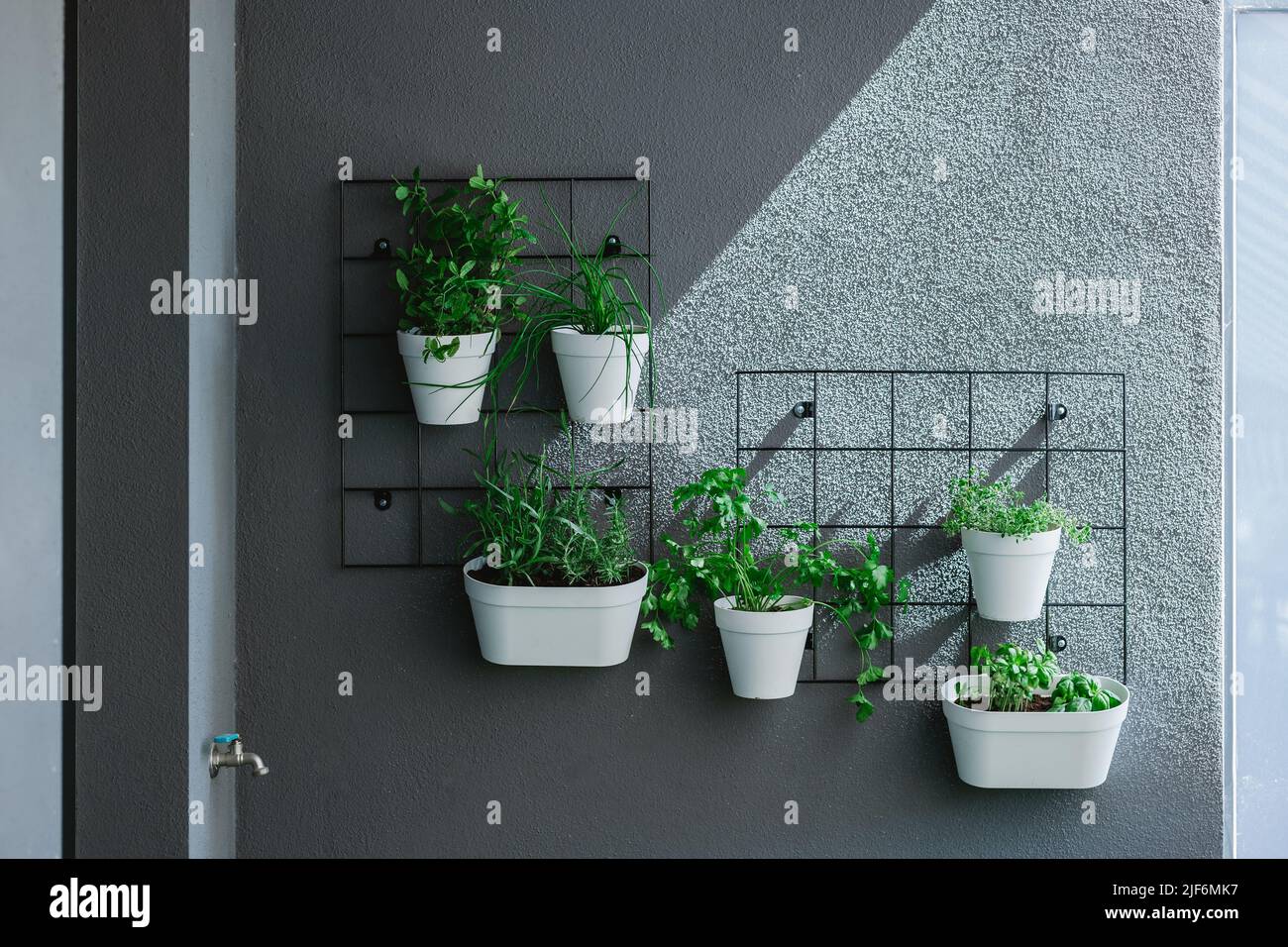 Ideas interesantes para la jardinería utilizando palets industriales por  colgar de la pared para macetas Fotografía de stock - Alamy