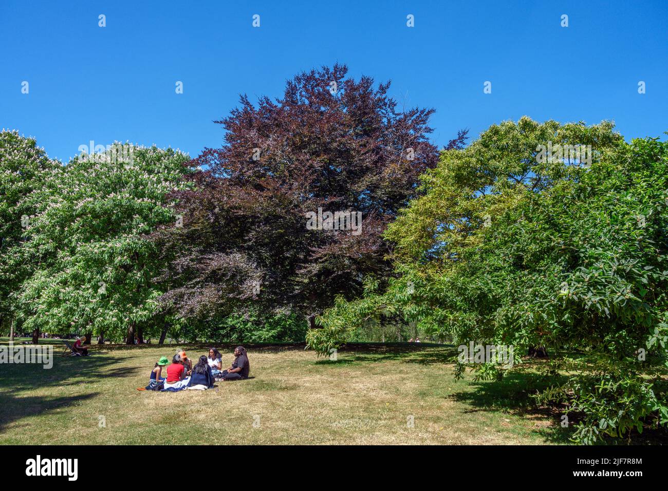 Gente haciendo un picnic en St James's Park, Londres, Inglaterra, Reino Unido Foto de stock