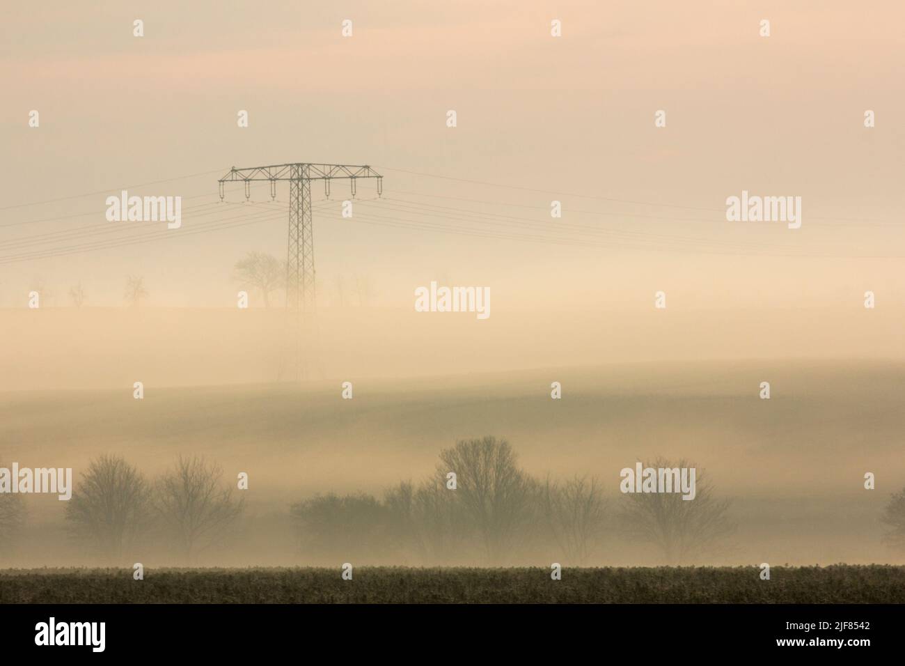 Silhouetten von Bäumen und einem Hochspannungsmast im Nebel an einem Morgen im Herbst, Silhouettes de árboles y pilón de alta tensión en la mañana con niebla Foto de stock