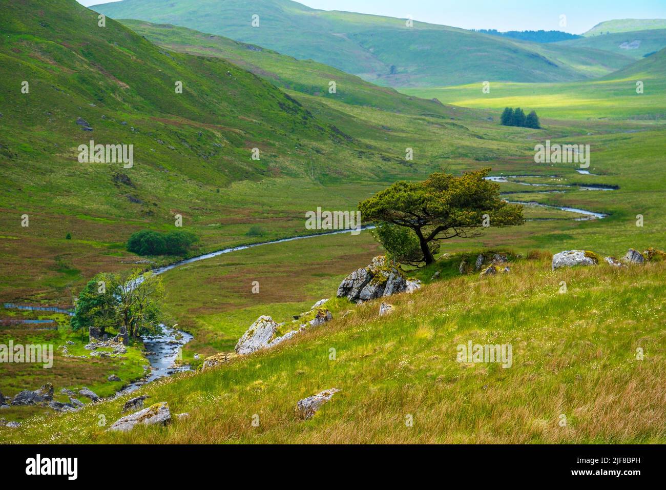 Un valle remoto en el medio rural de Gales en las Montañas Cambrian Foto de stock