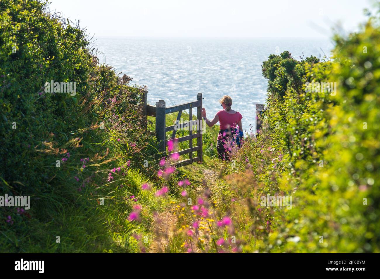 Mujer / mujer caminante en el Camino de la Costa de Gales en Pembrokeshire Foto de stock