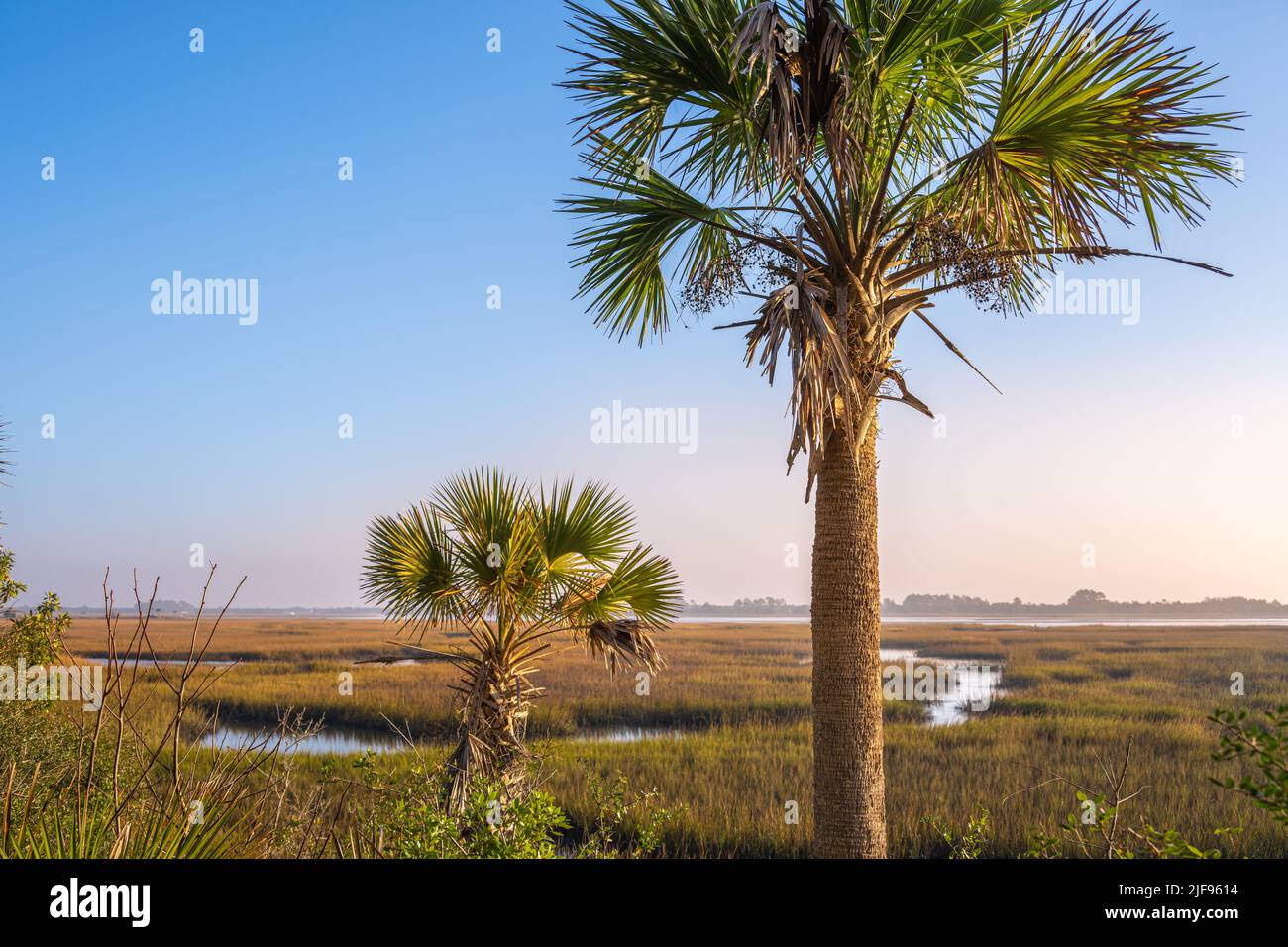 Vista del paisaje de la marisma de la Florida desde Fort George Island hacia los parques estatales de las islas Talbot en Jacksonville, Florida. (ESTADOS UNIDOS) Foto de stock