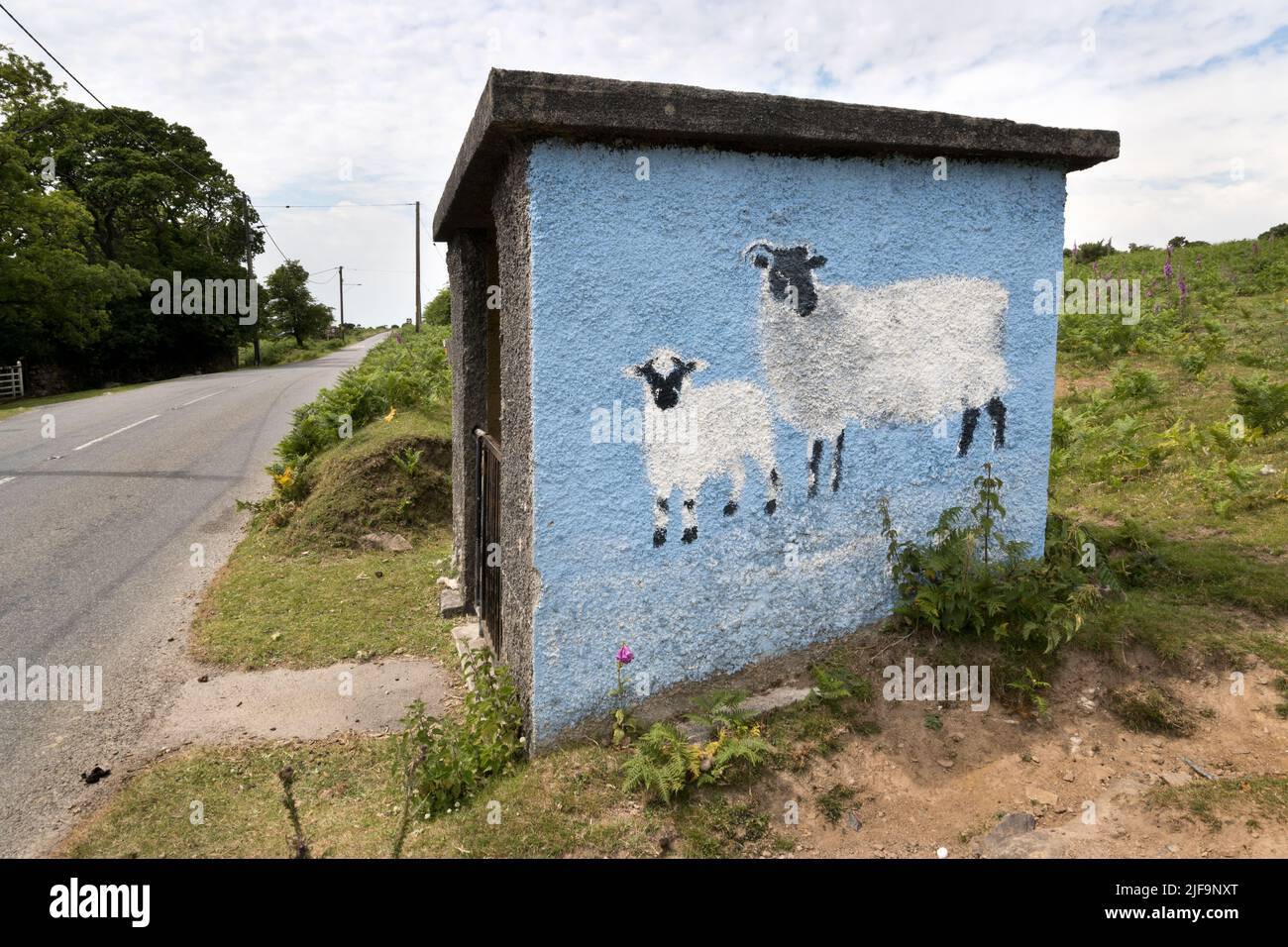 Refugio de autobuses pintado con ovejas, entre Cadover Bridge y Wotter, Dartmoor National Park, Devon, Reino Unido. El refugio tiene una puerta para evitar la entrada de ovejas. Foto de stock