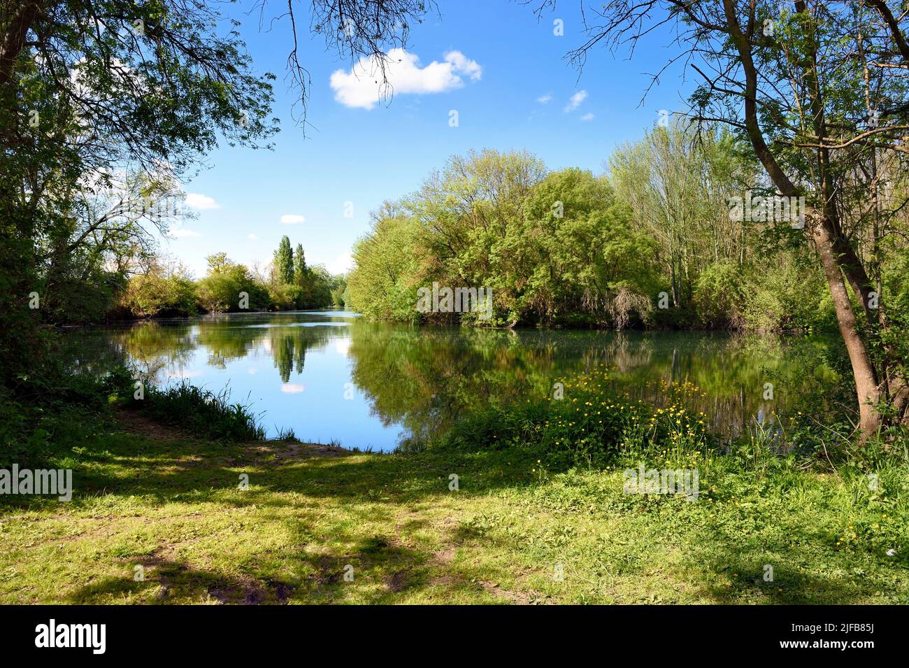 Francia, Charente, el río Charente entre Sireuil y Saint-Simeux Foto de stock
