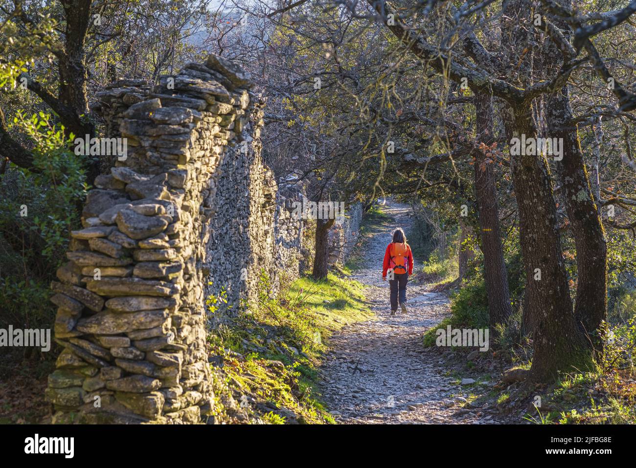 Francia, Vaucluse, el parque natural regional de Luberon, caminata a partir de la pequeña aldea medieval encaramado de Goult, Roche Redonne camino Foto de stock