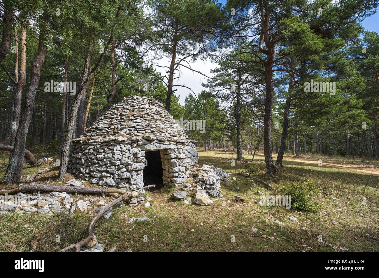 Francia, Vaucluse, Parque Natural Regional de Luberon, alrededores de Saint-Saturnin-les-Apt, antigua cabaña de piedra seca Foto de stock