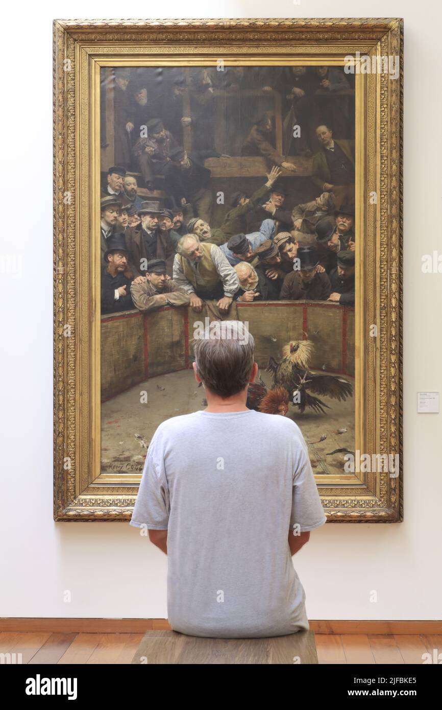 France, Nord, Roubaix, La Piscine (museo de arte e industria André-diligent), pintura de Rémy Coggghe titulada Le combat de coqs en Flandre (1889) Foto de stock