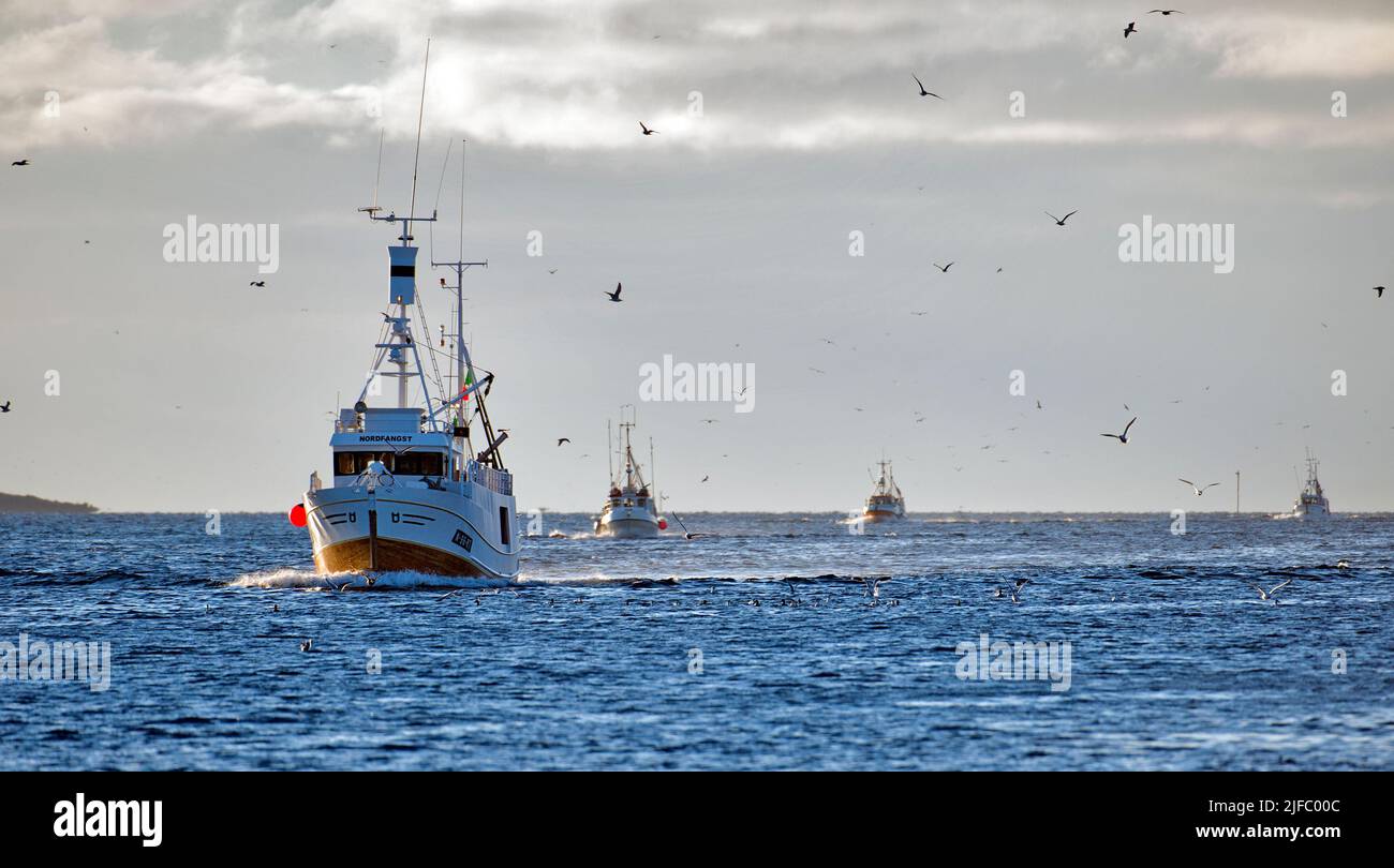 Barcos que regresan de la pesca del bacalao en Röst, Lofoten en febrero de 2013. Foto de stock