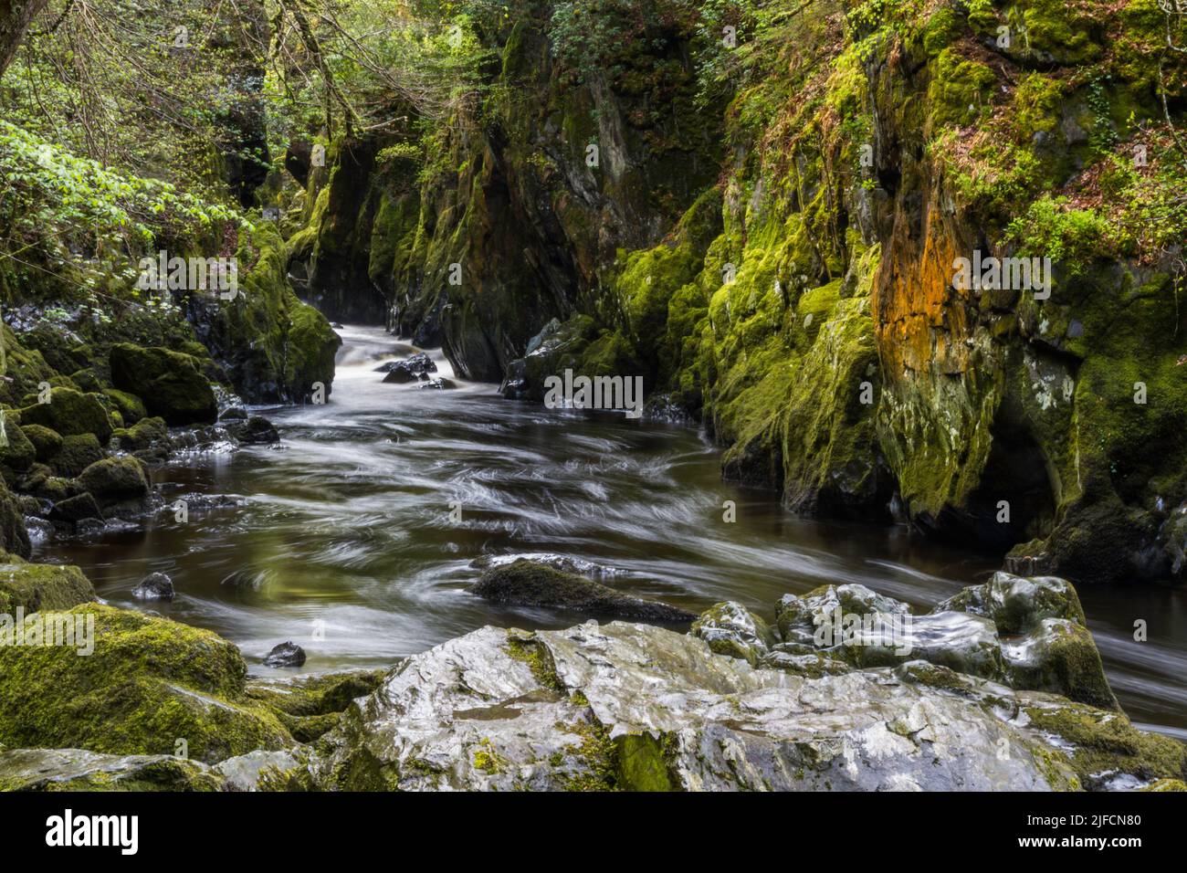 Hermoso desfiladero con el río Fairy Glen, Betws-y-Coed, Snowdonia, Gales, Reino Unido, paisaje y gran angular, agua borrosa Foto de stock