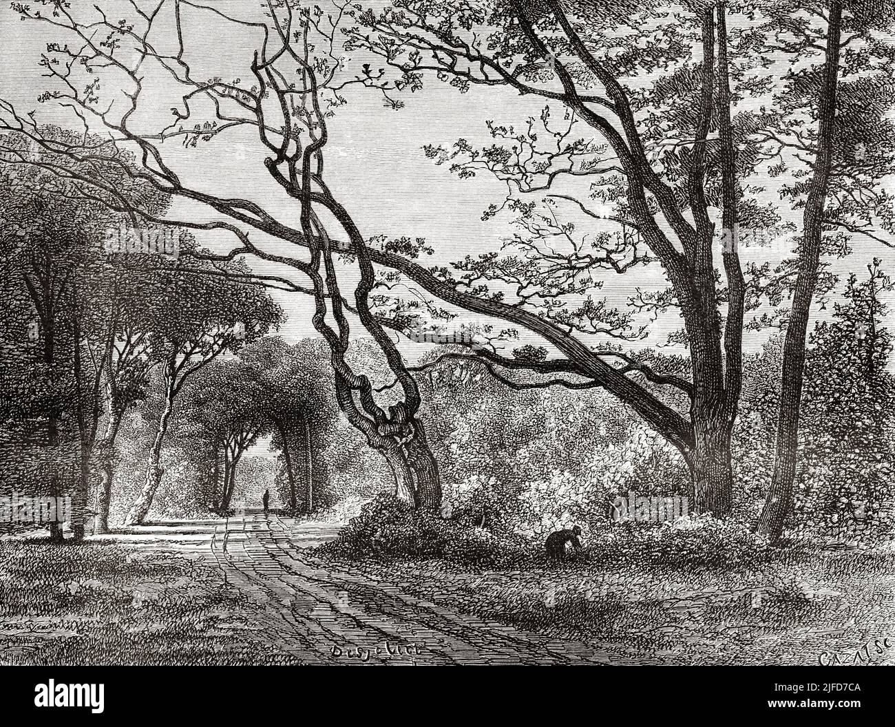 Un camino en el bosque de Fontainebleau. Seine-et-Marne, Francia. Europa. El castillo y el bosque de Fontainebleau por Du Pays de Le Tour du Monde 1867 Foto de stock