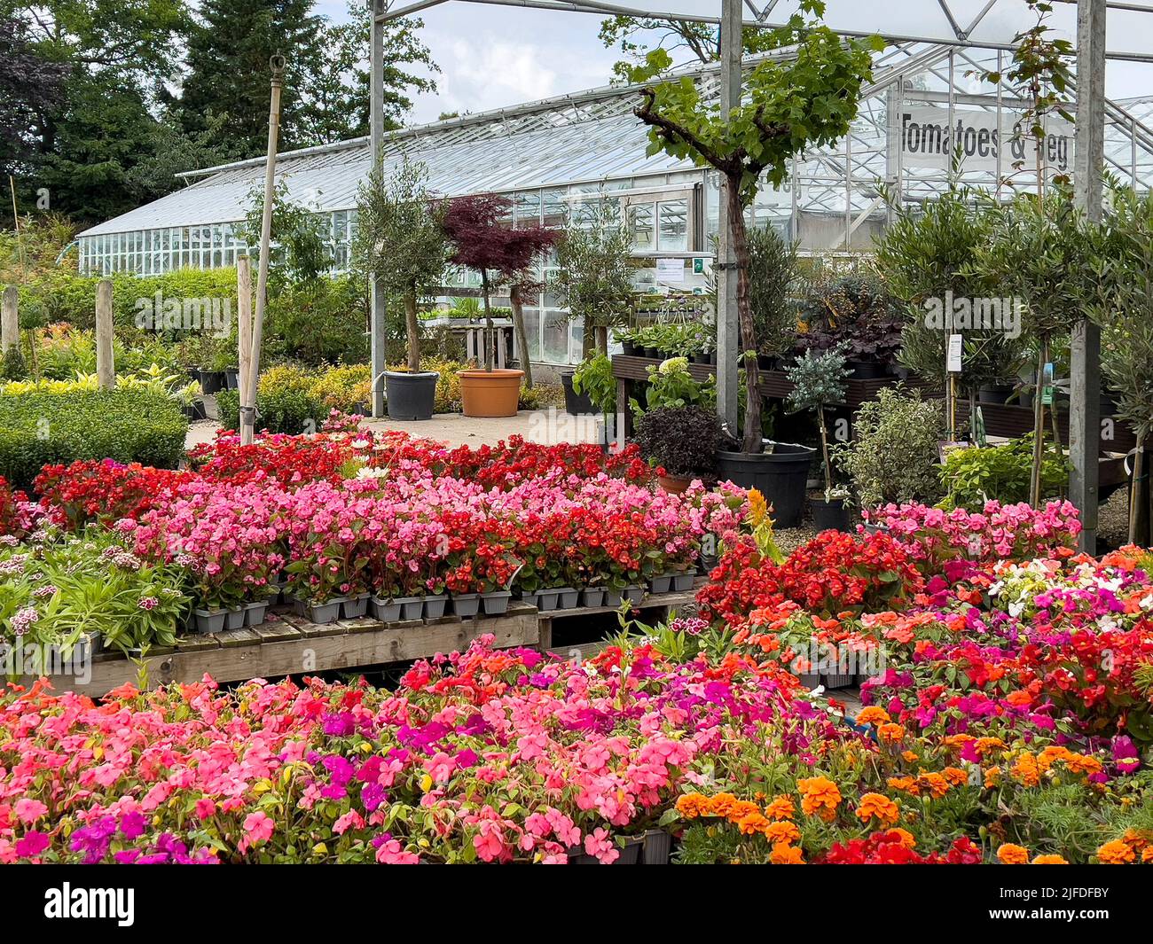 Colorido despliegue floral en un centro de jardín en el Reino Unido. Foto de stock