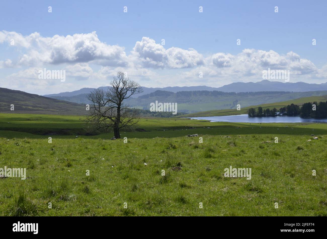 El paisaje en Glen Tilt cerca de Blair Atholl en las Tierras Altas de Escocia Foto de stock