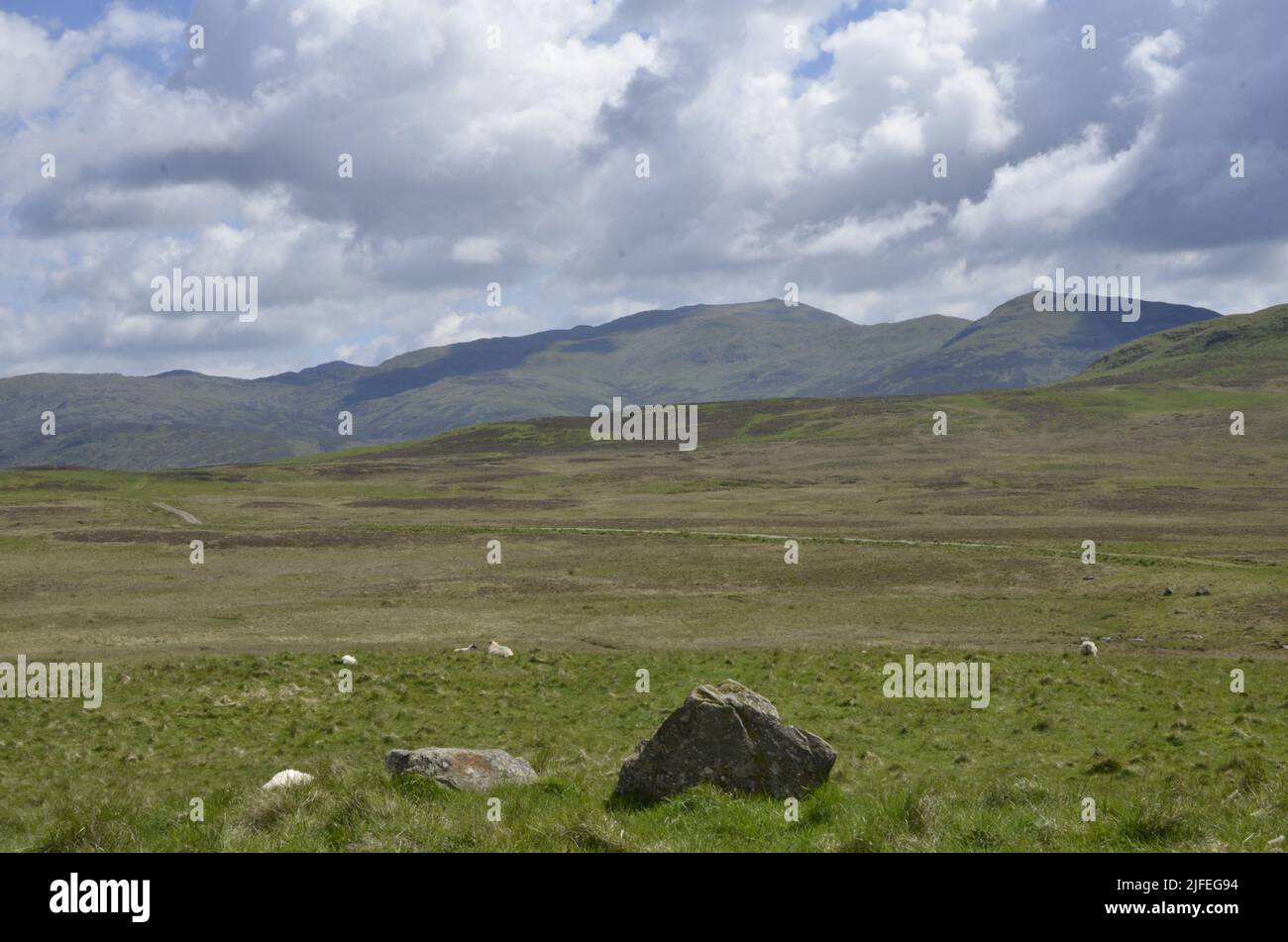 El paisaje en Glen Tilt cerca de Blair Atholl en las Tierras Altas de Escocia Foto de stock