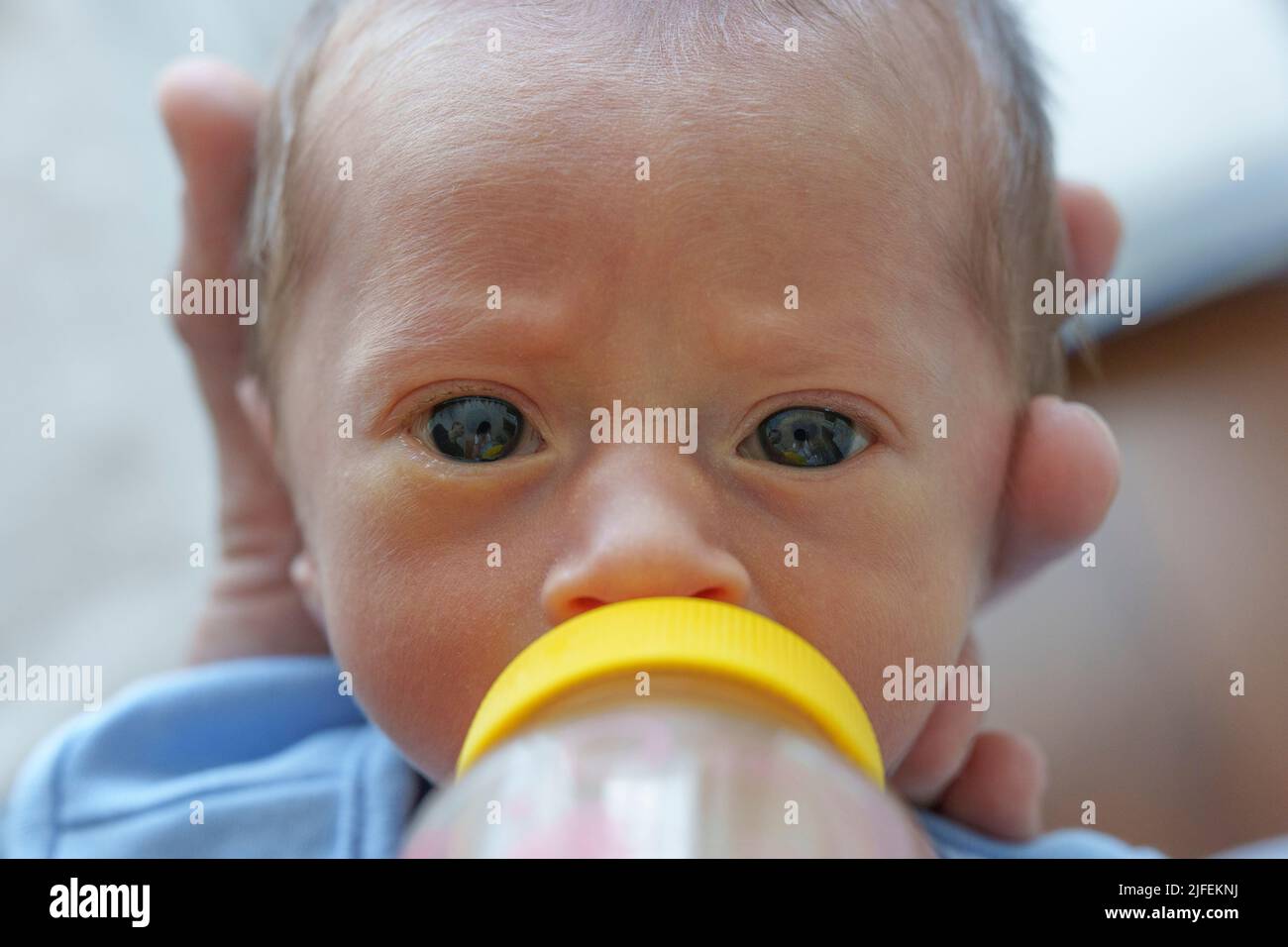 Primer plano de un bebé recién nacido succionando en el biberón mientras mira la cámara Foto de stock