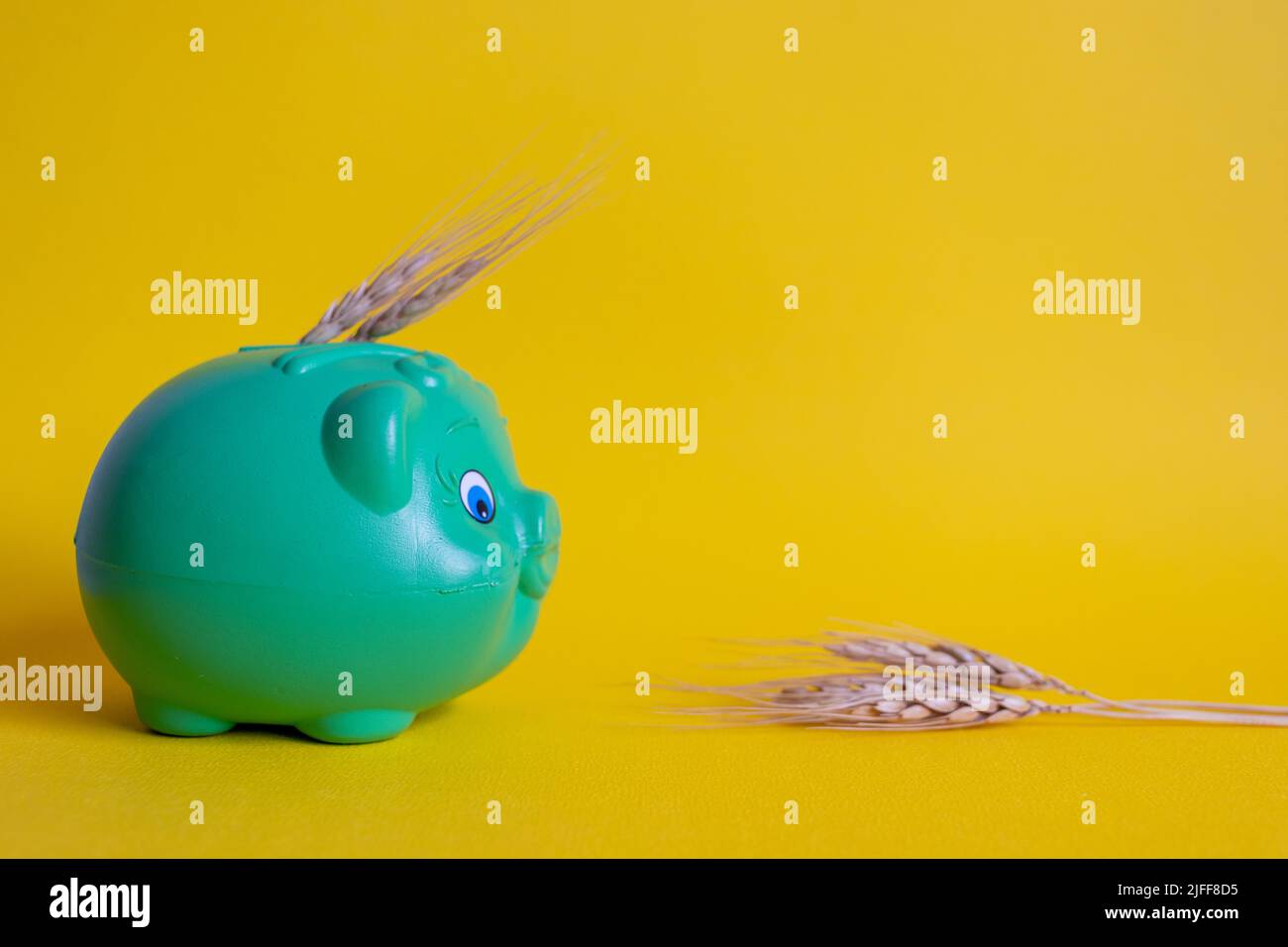 Concepto de crisis alimentaria mundial : banco de cerdos con espigas de trigo sobre fondo amarillo Foto de stock