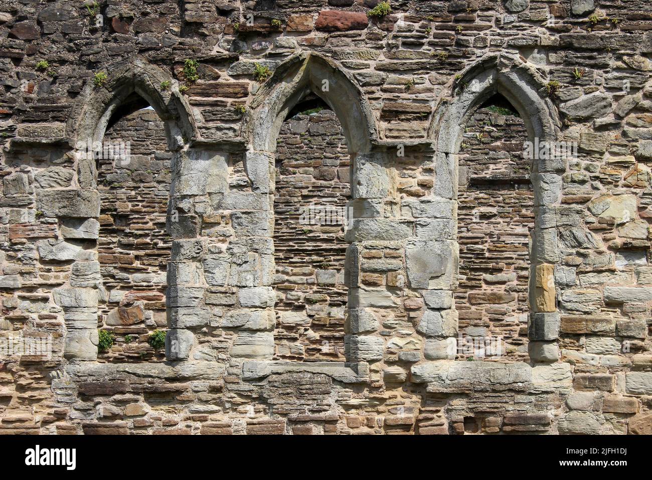 Detalle de ventanas arqueadas góticas en la Abadía de Basingwerk, Greenfield Heritage Park, Gales Foto de stock