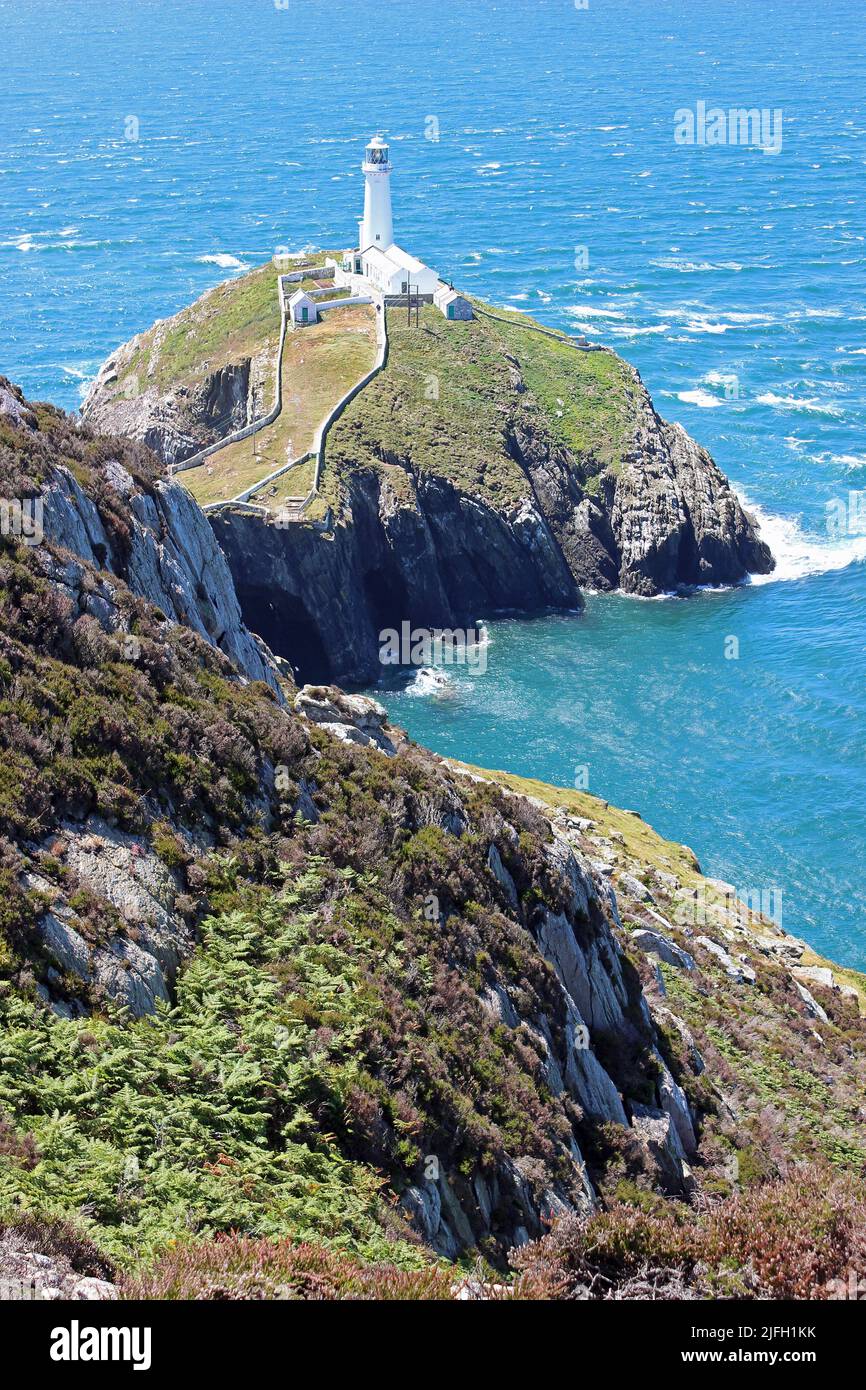 South Stack Lighthouse, Anglesey, Gales Foto de stock