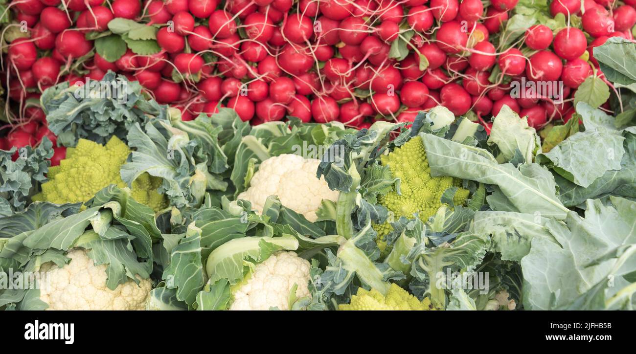 coliflores blancas y brócoli romano con rábanos rojos de fondo en un mercado Foto de stock