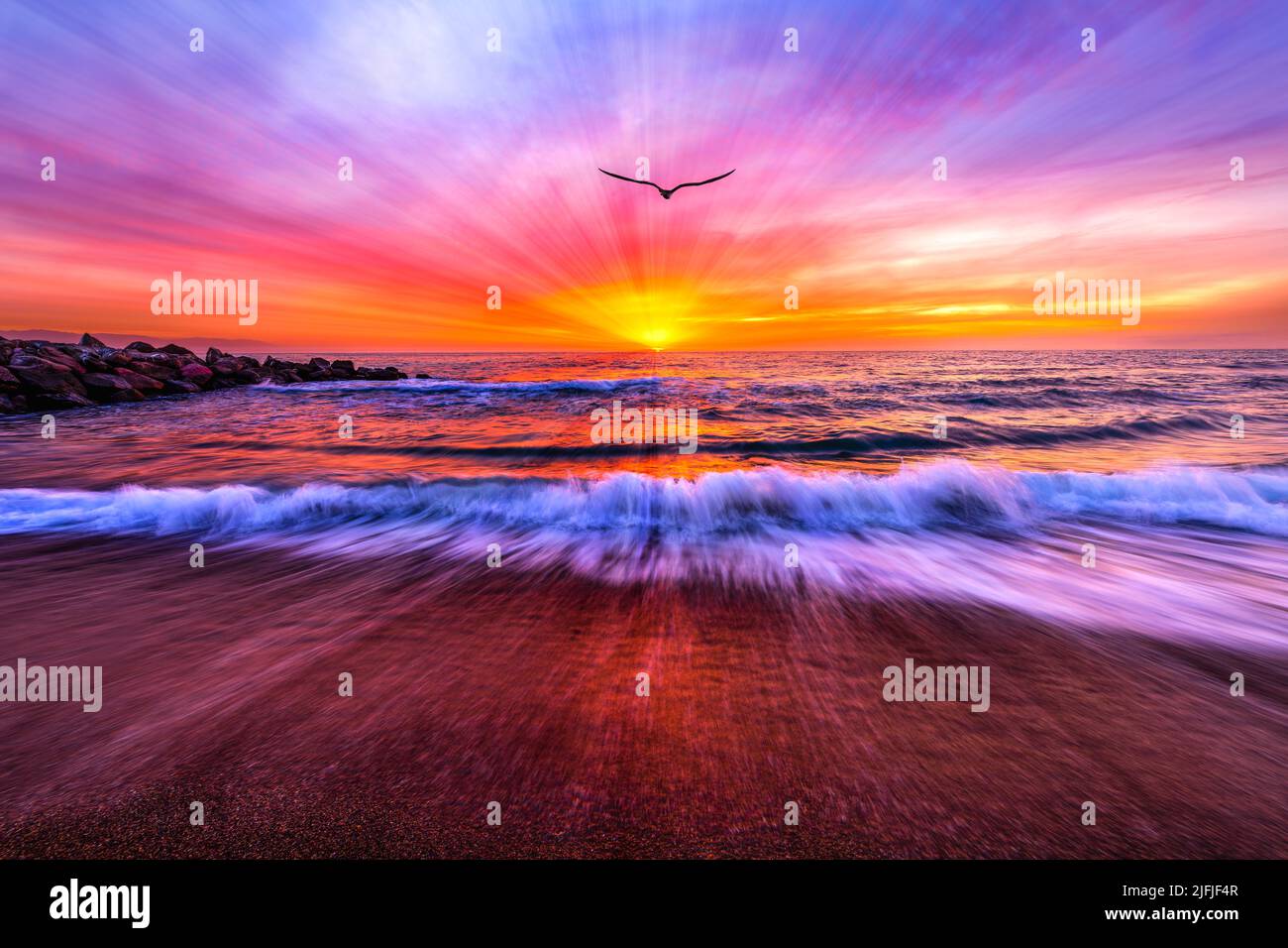Una silueta de pájaro está volando hacia los coloridos rayos de luz de la puesta de sol del océano Foto de stock