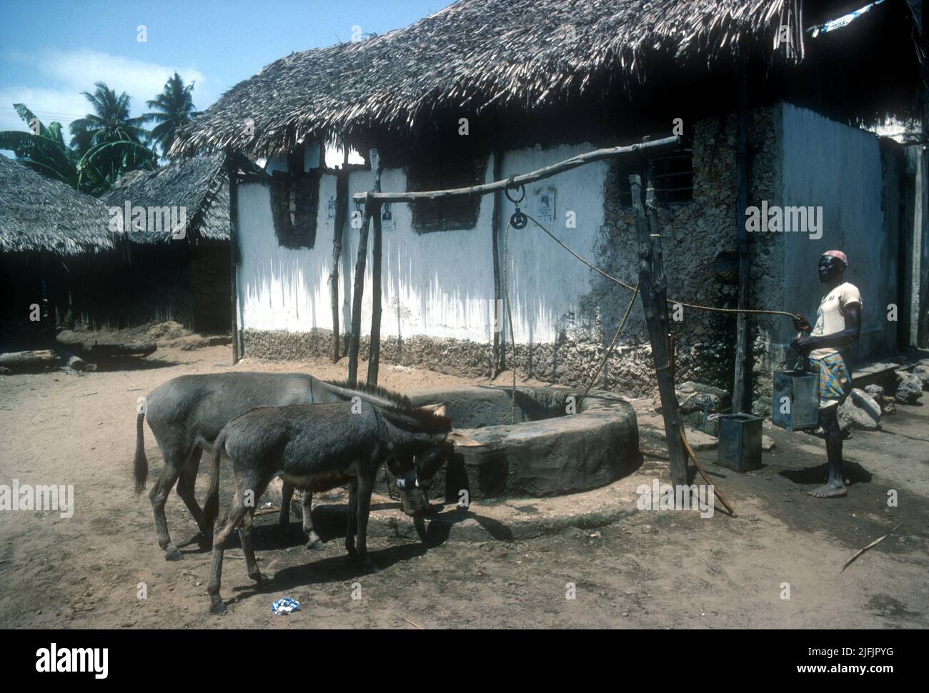 Un pozo tradicional con burros y casa de adobe Lamu Island NE Kenya, 1965 Foto de stock