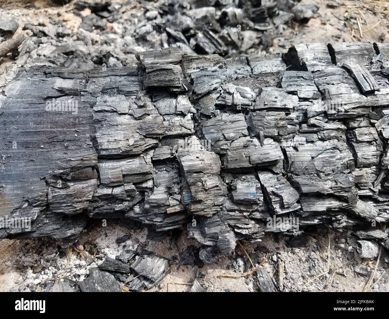 se eliminaron los troncos quemados y el carbón negro usado. Foto de stock
