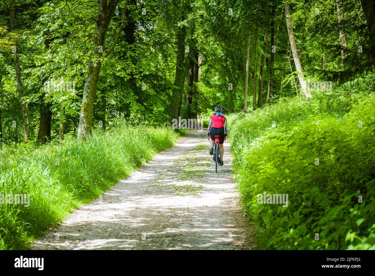 Mujer ciclista montando una pista de grava a través de los bosques de Malham Tarn, Yorkshire Dales, Reino Unido. Foto de stock