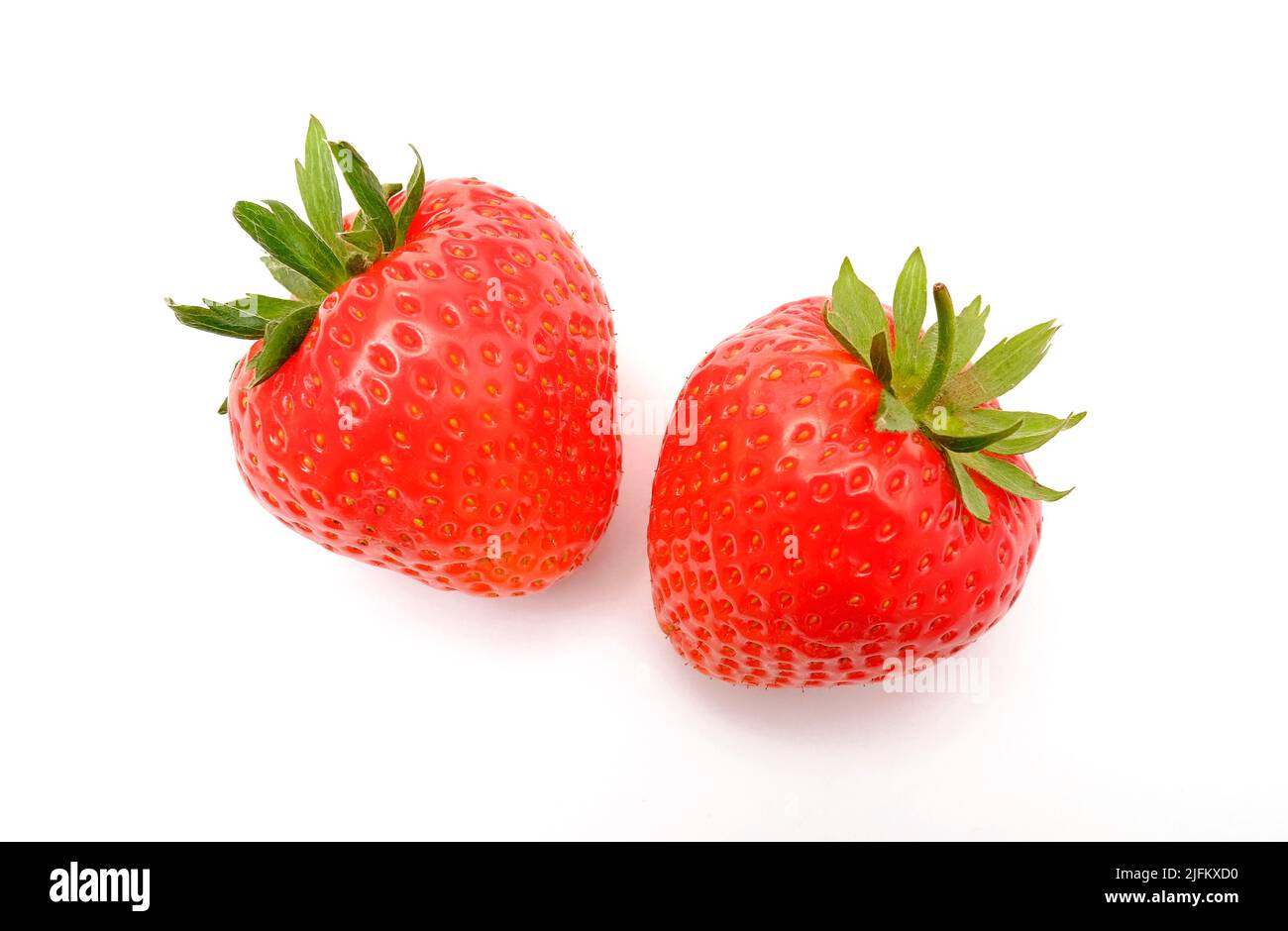 dos fresas rojas inglesas maduras sobre fondo blanco Foto de stock
