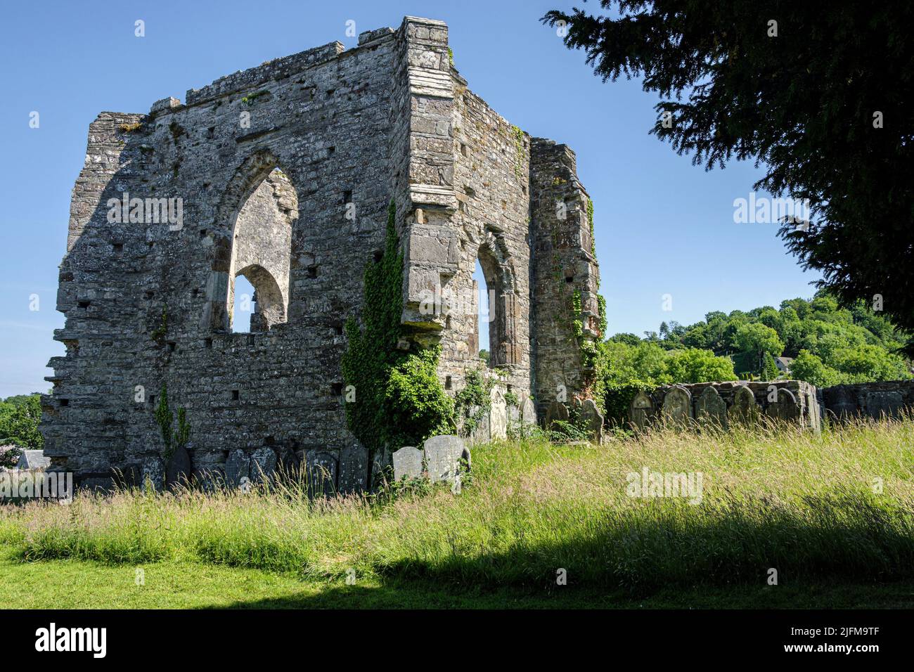 St Dogmaels Abbey, Pembrokeshire (Gales) Foto de stock
